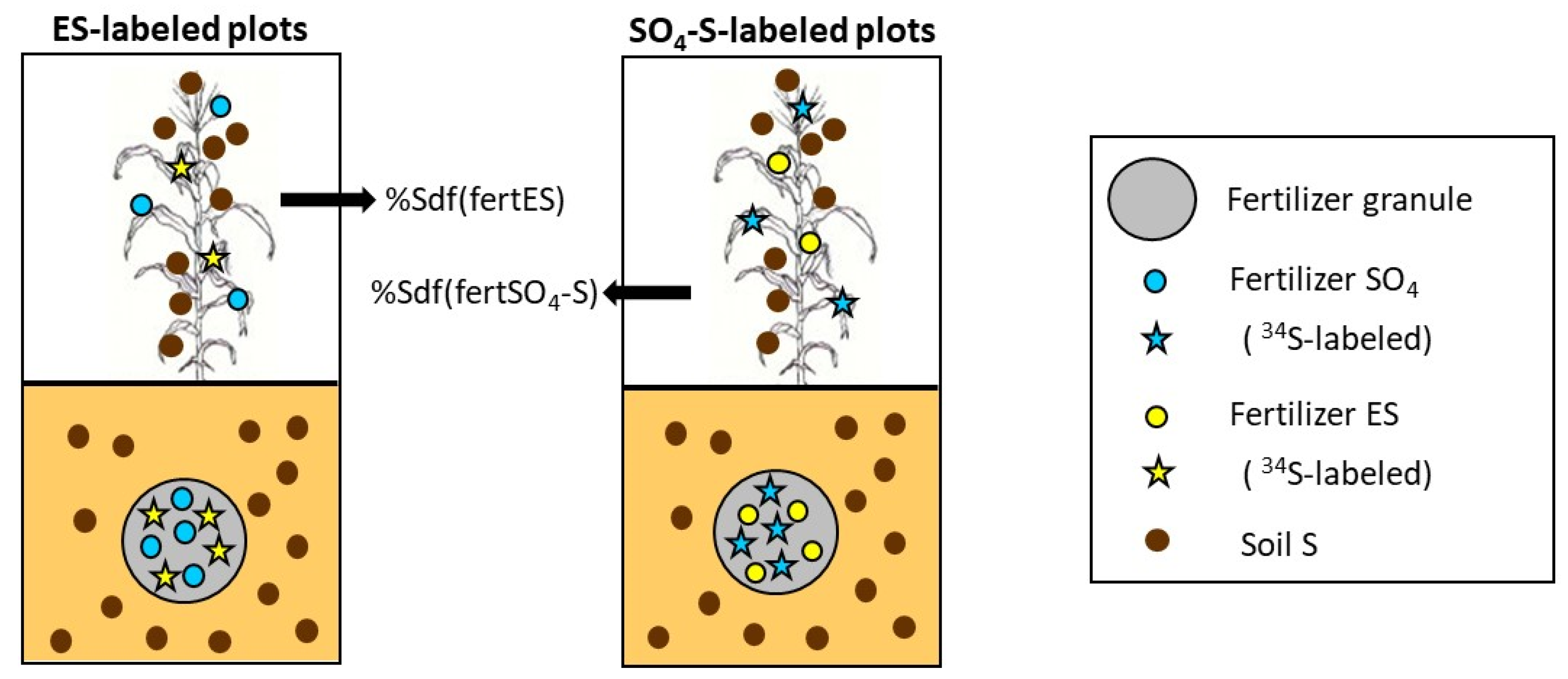 Agronomy 10 01035 g001