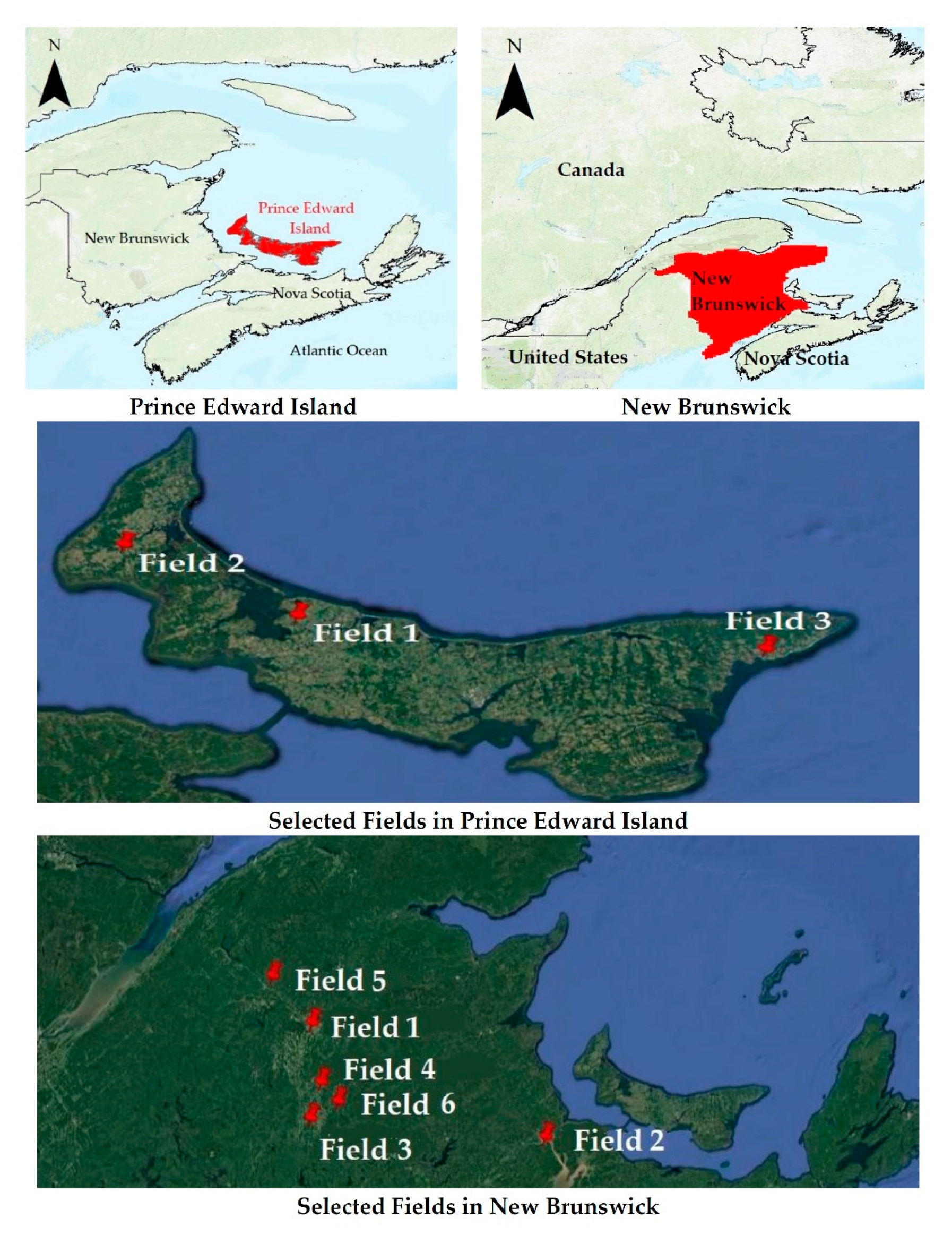 Agronomy 10 01046 g001