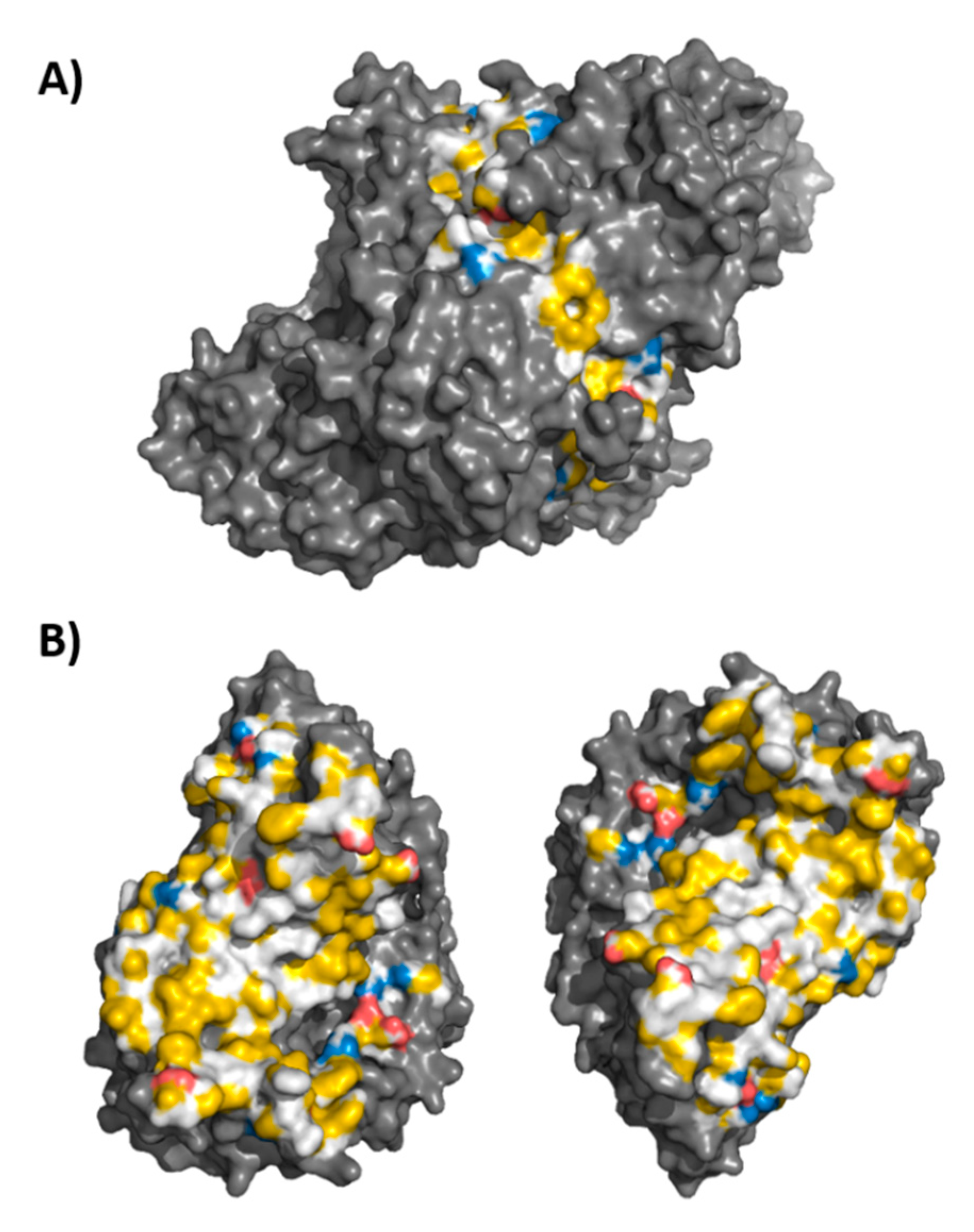 Agronomy 10 01057 g004