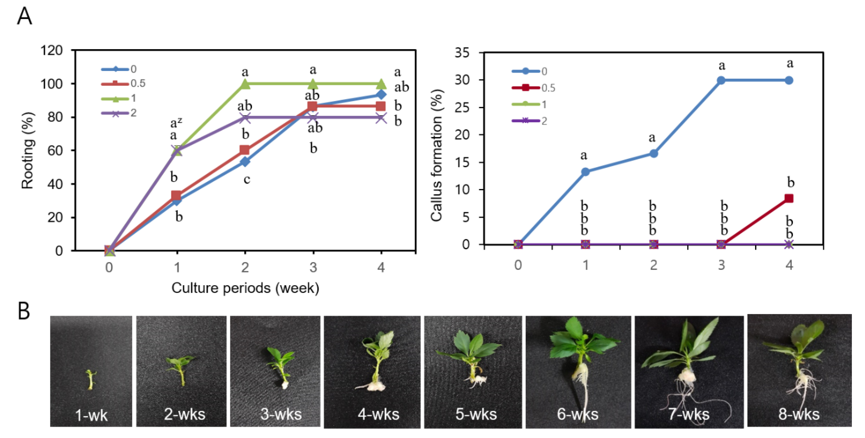 Agronomy 10 01079 g004