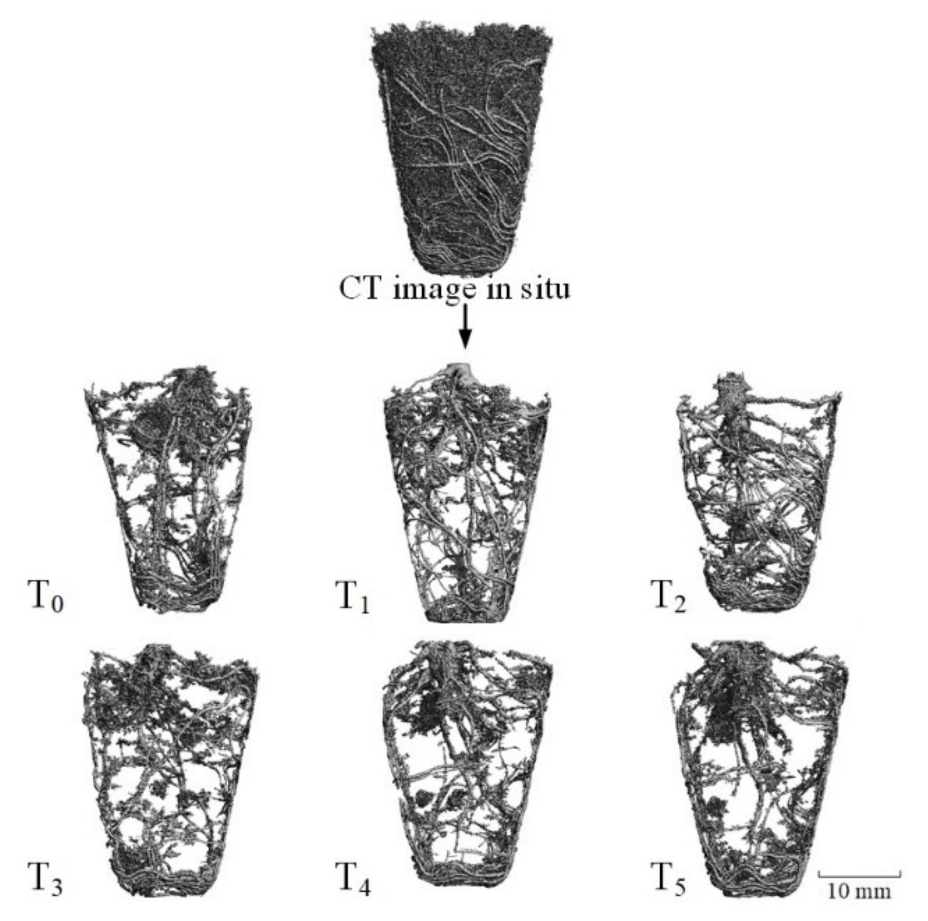 Agronomy 10 01080 g005