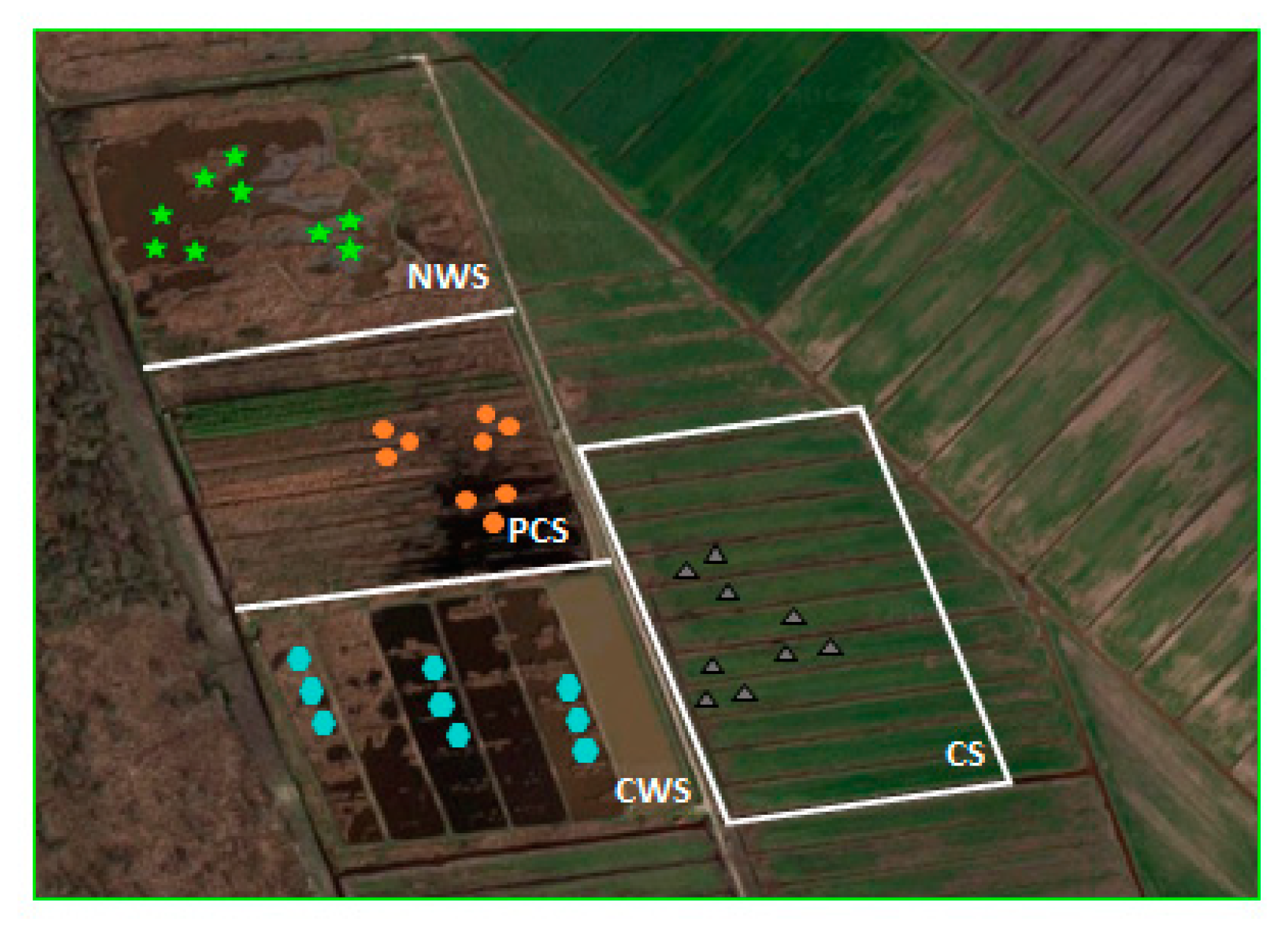 Agronomy 10 01084 g001 Agronomy 10 01084 g001