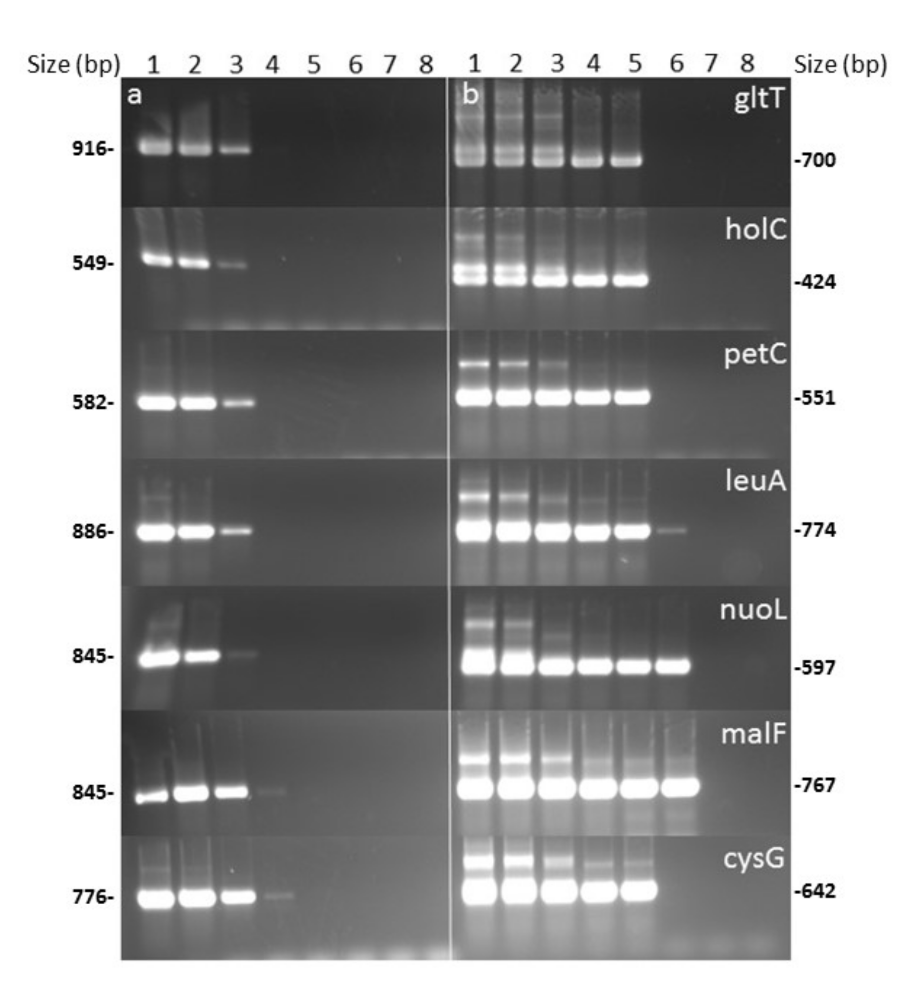Agronomy 10 01099 g002