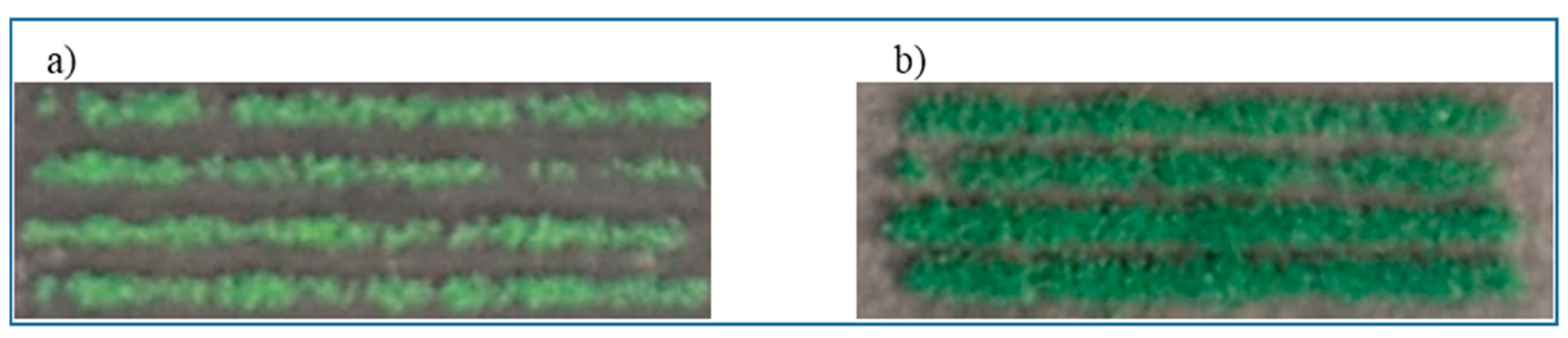 Agronomy 10 01108 g001