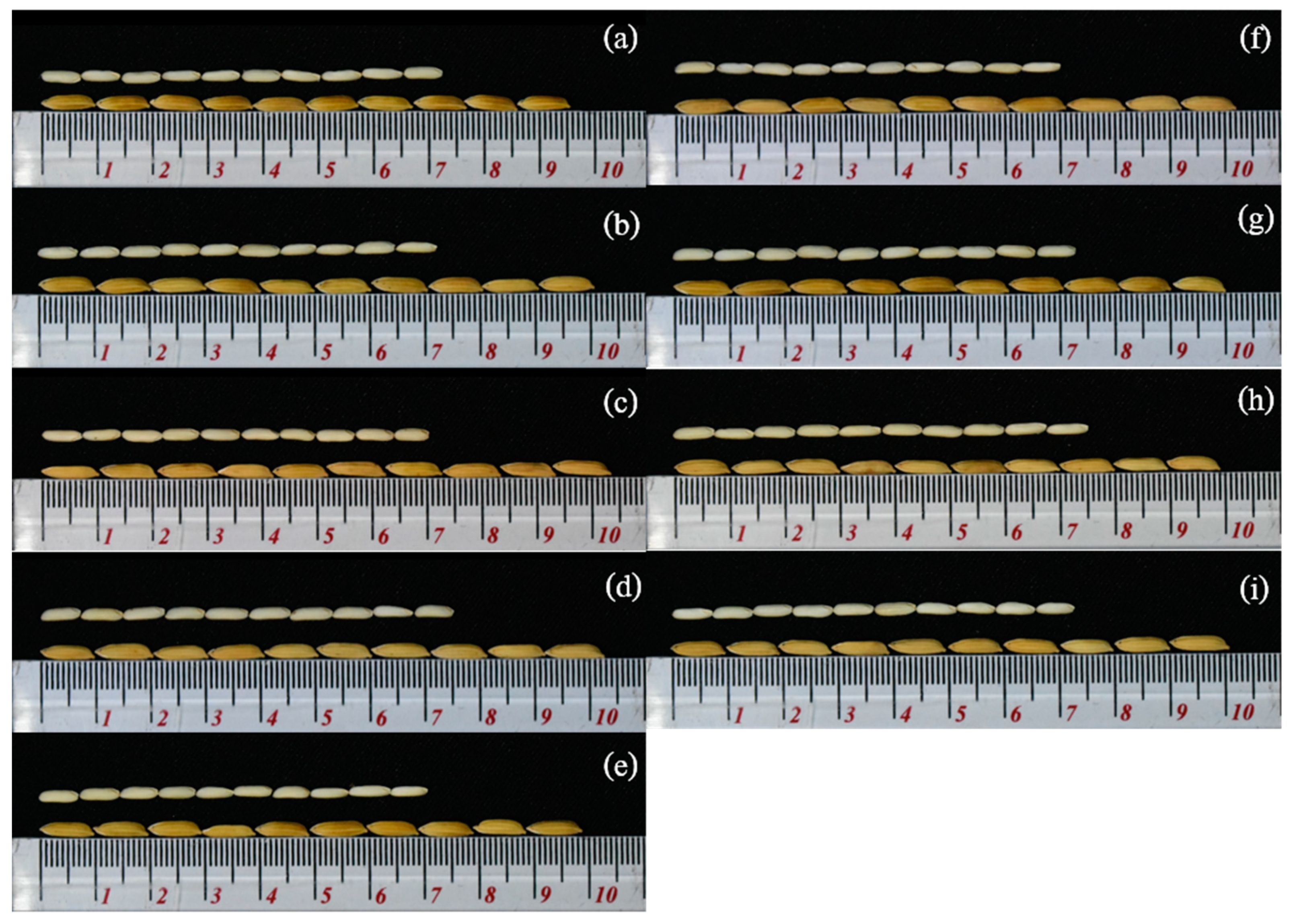Agronomy 10 01118 g002