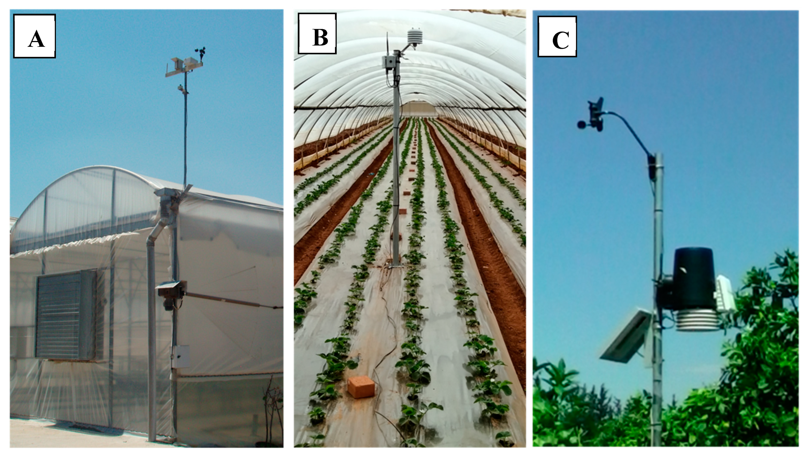 Agronomy 10 01120 g004