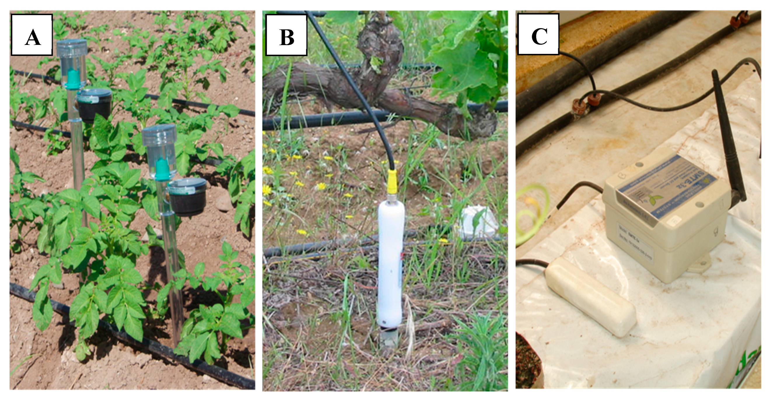 Agronomy 10 01120 g005
