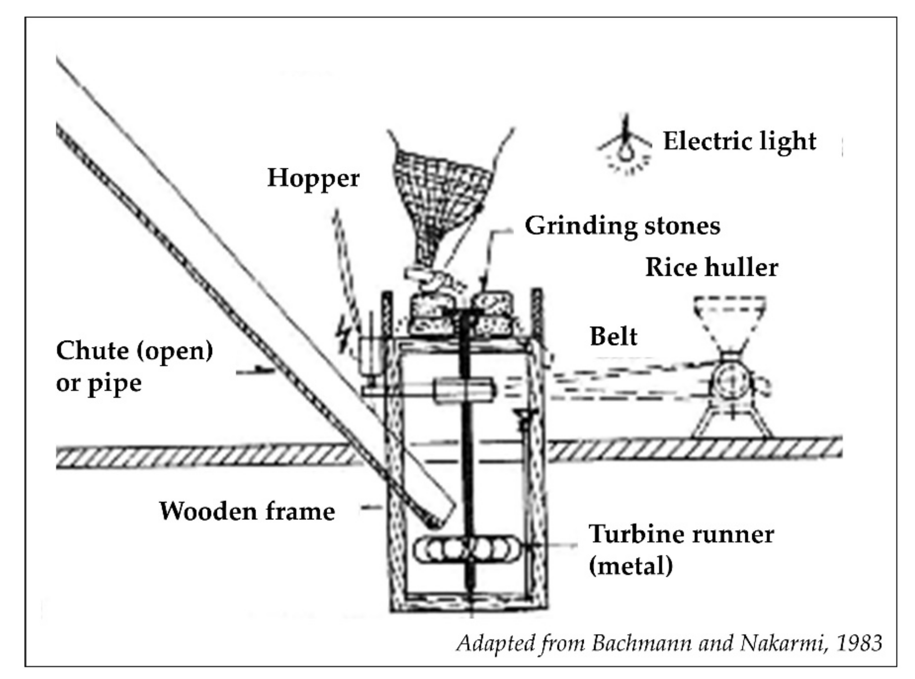 Agronomy 10 01129 g003