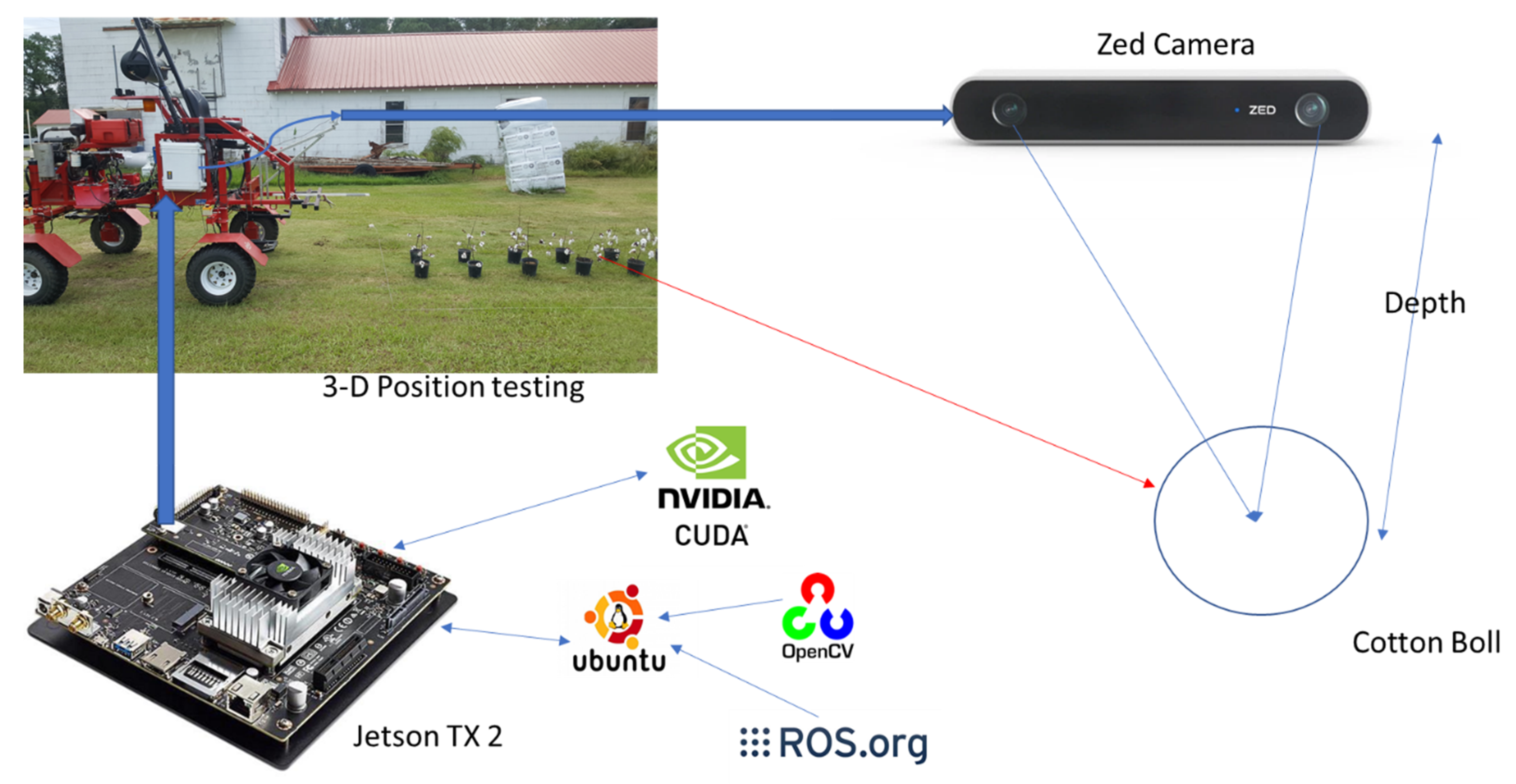 Agronomy 10 01137 g001