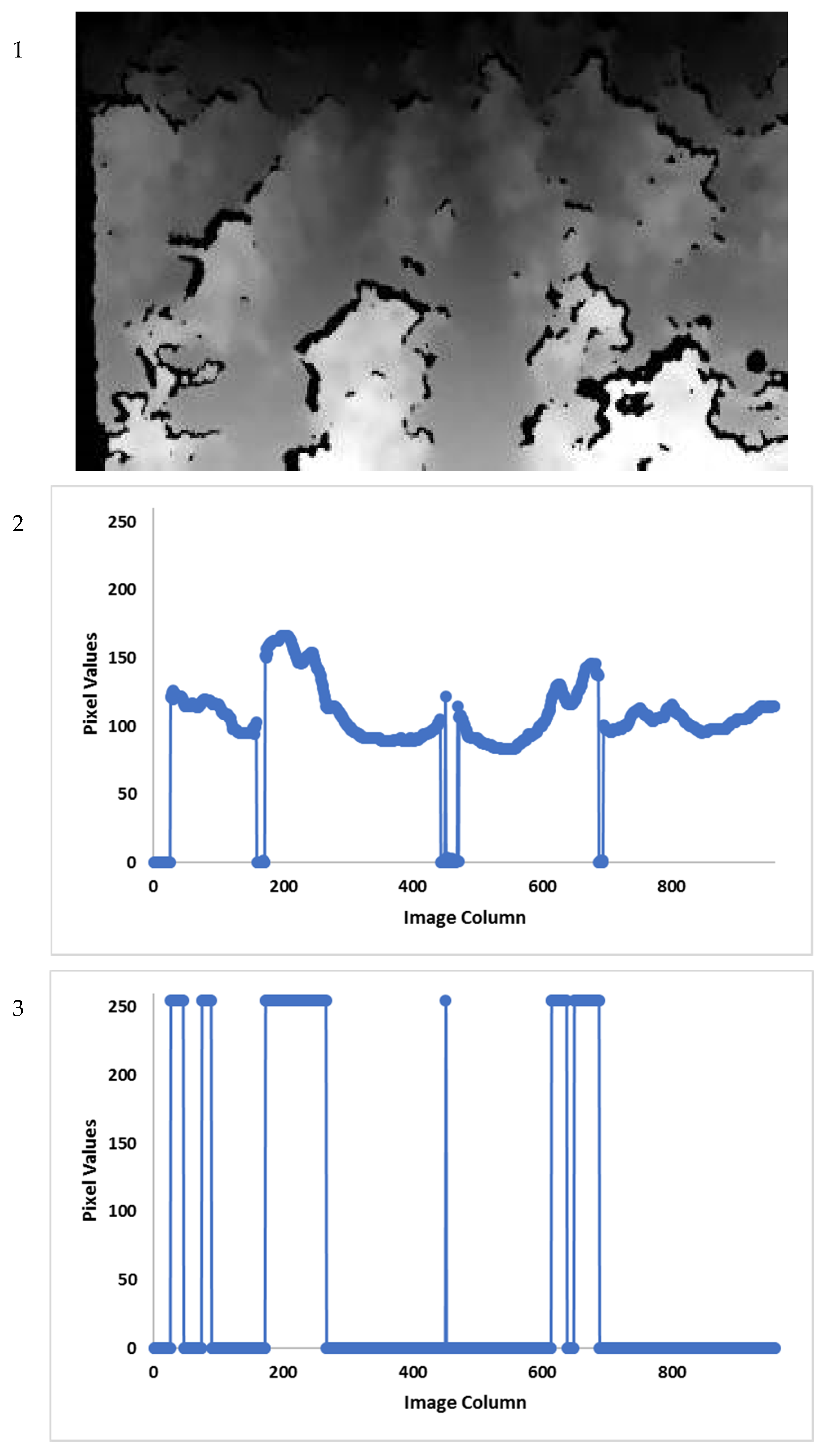Agronomy 10 01137 g004
