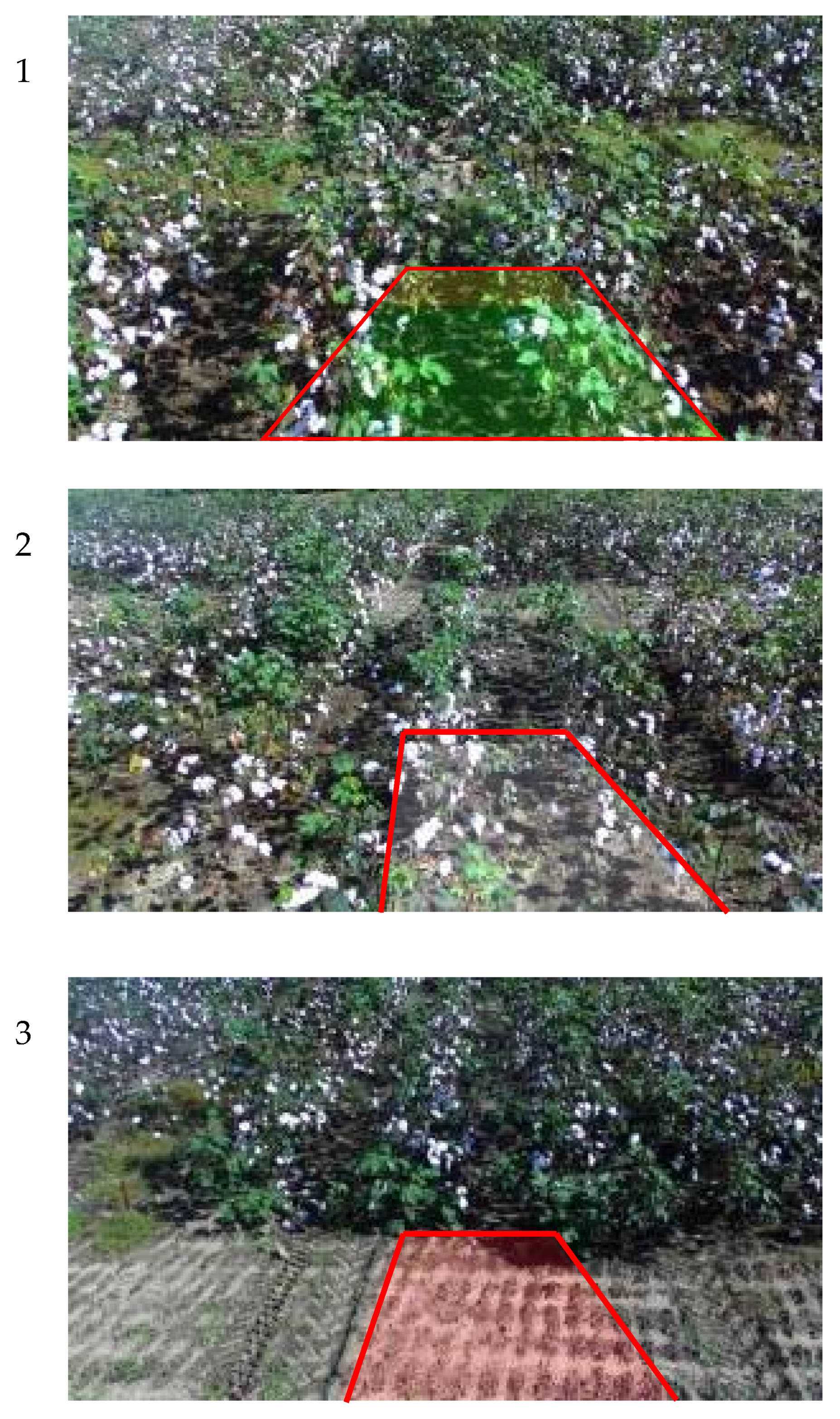 Agronomy 10 01137 g006