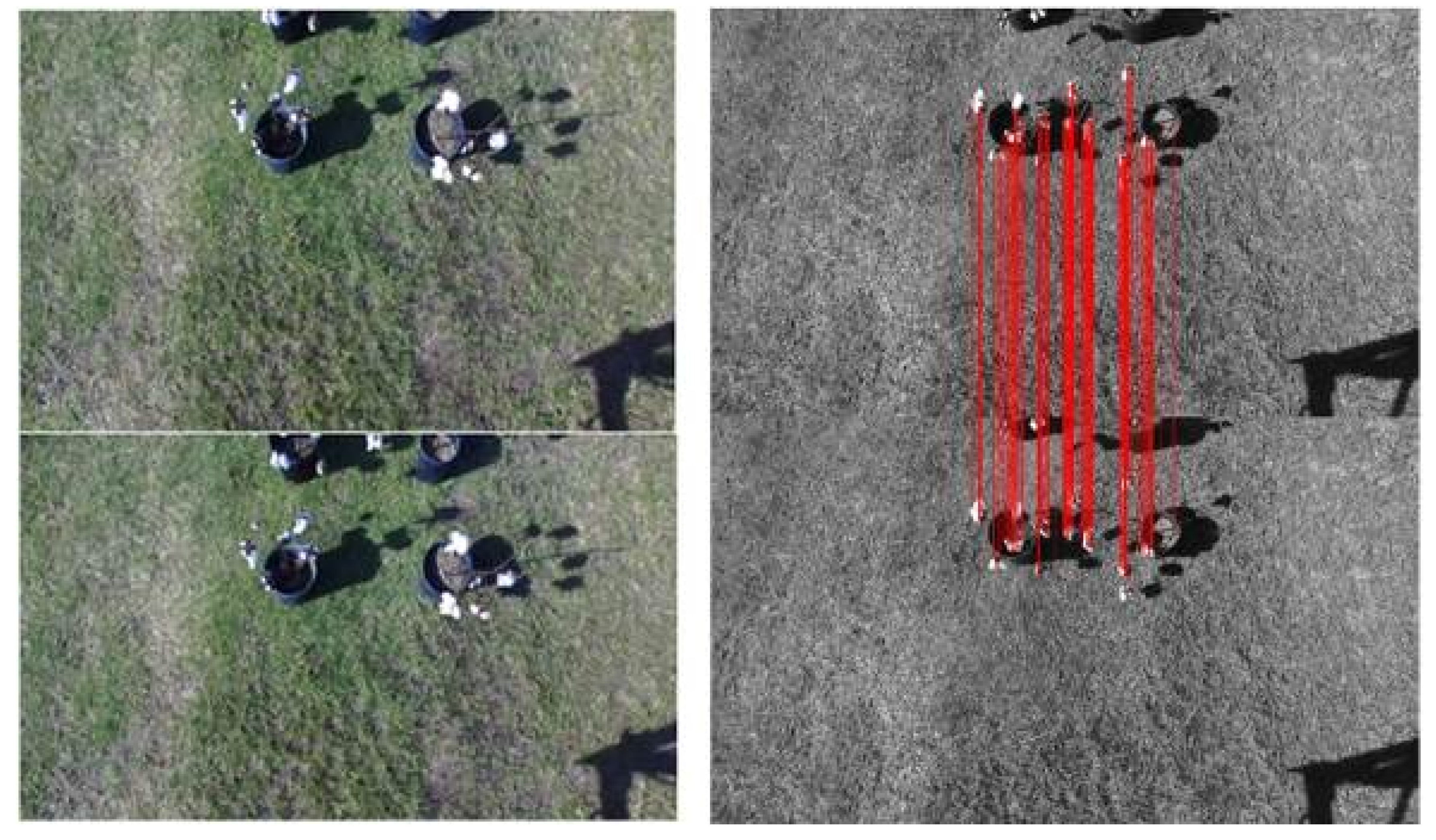 Agronomy 10 01137 g008