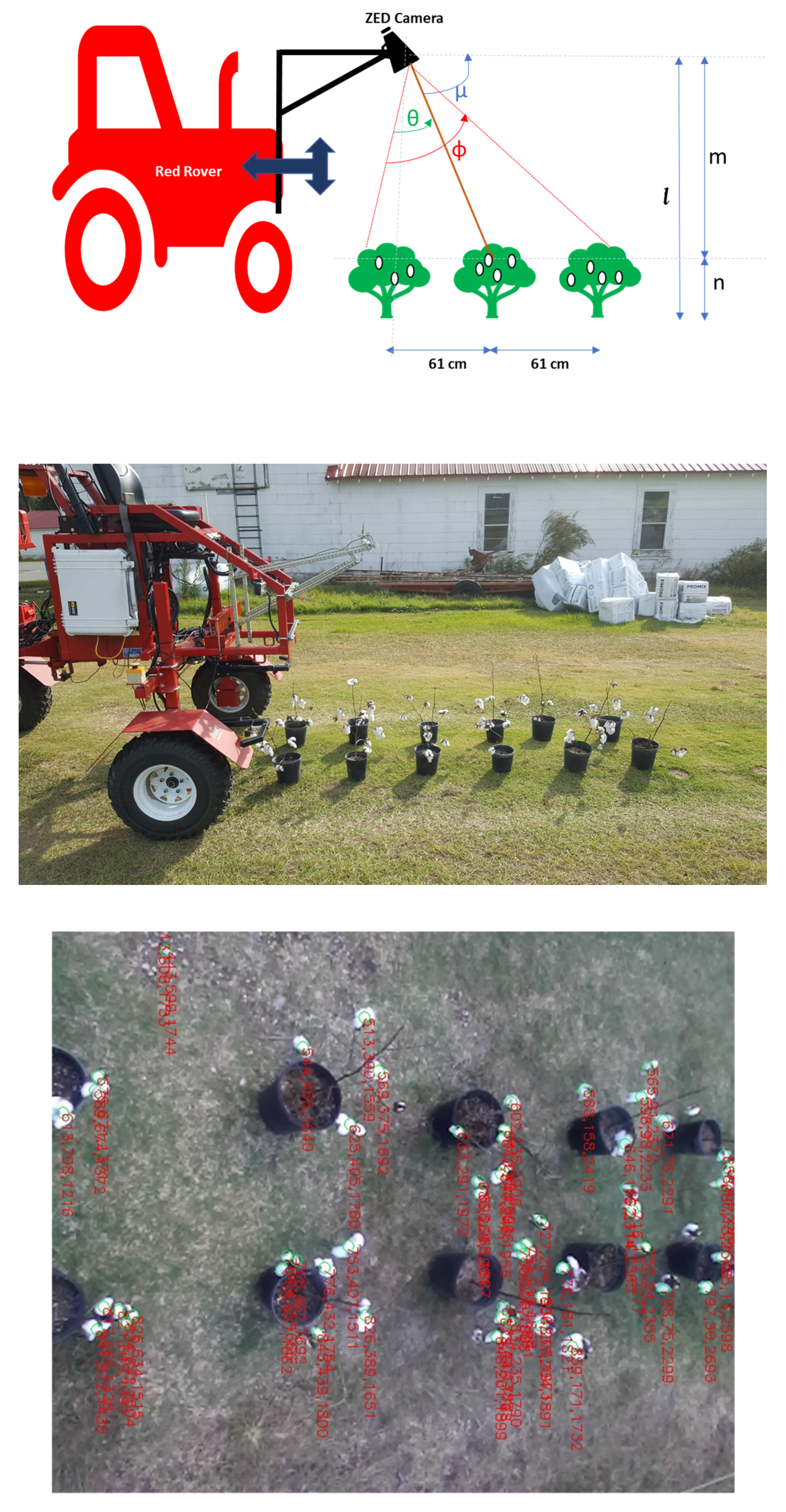 Agronomy 10 01137 g009