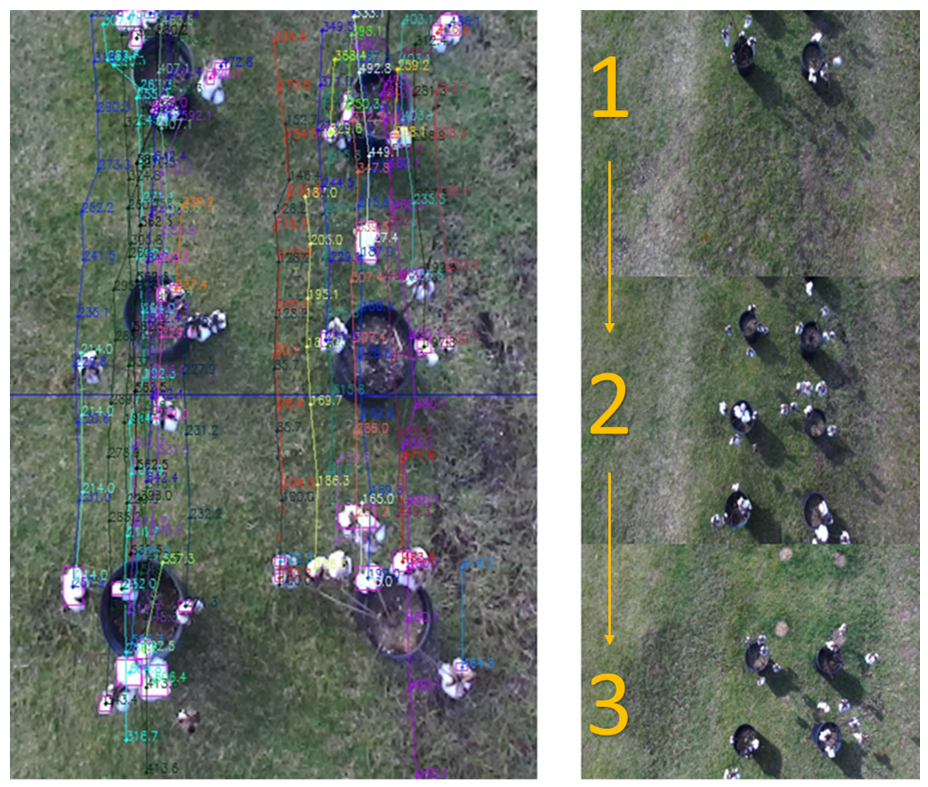 Agronomy 10 01137 g010