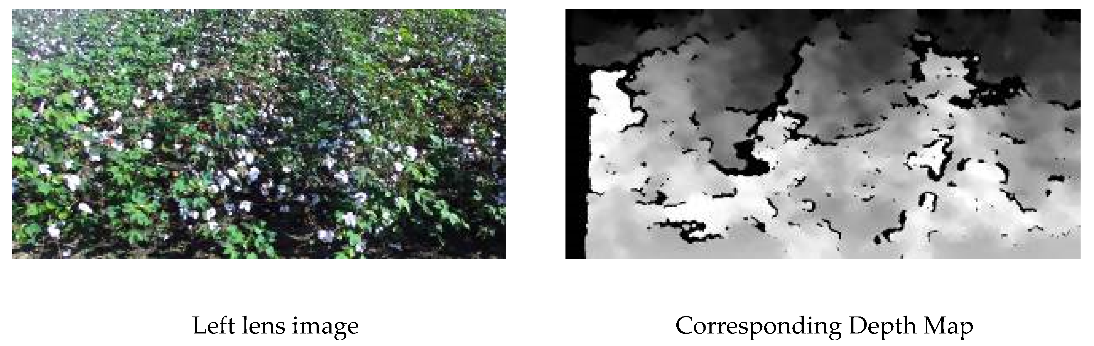 Agronomy 10 01137 g011