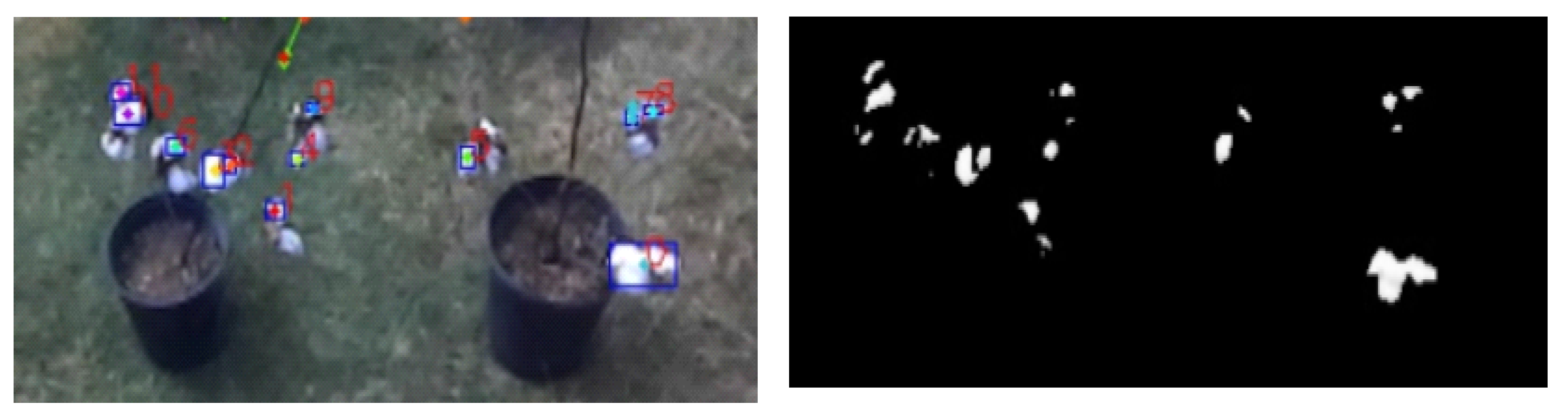 Agronomy 10 01137 g013