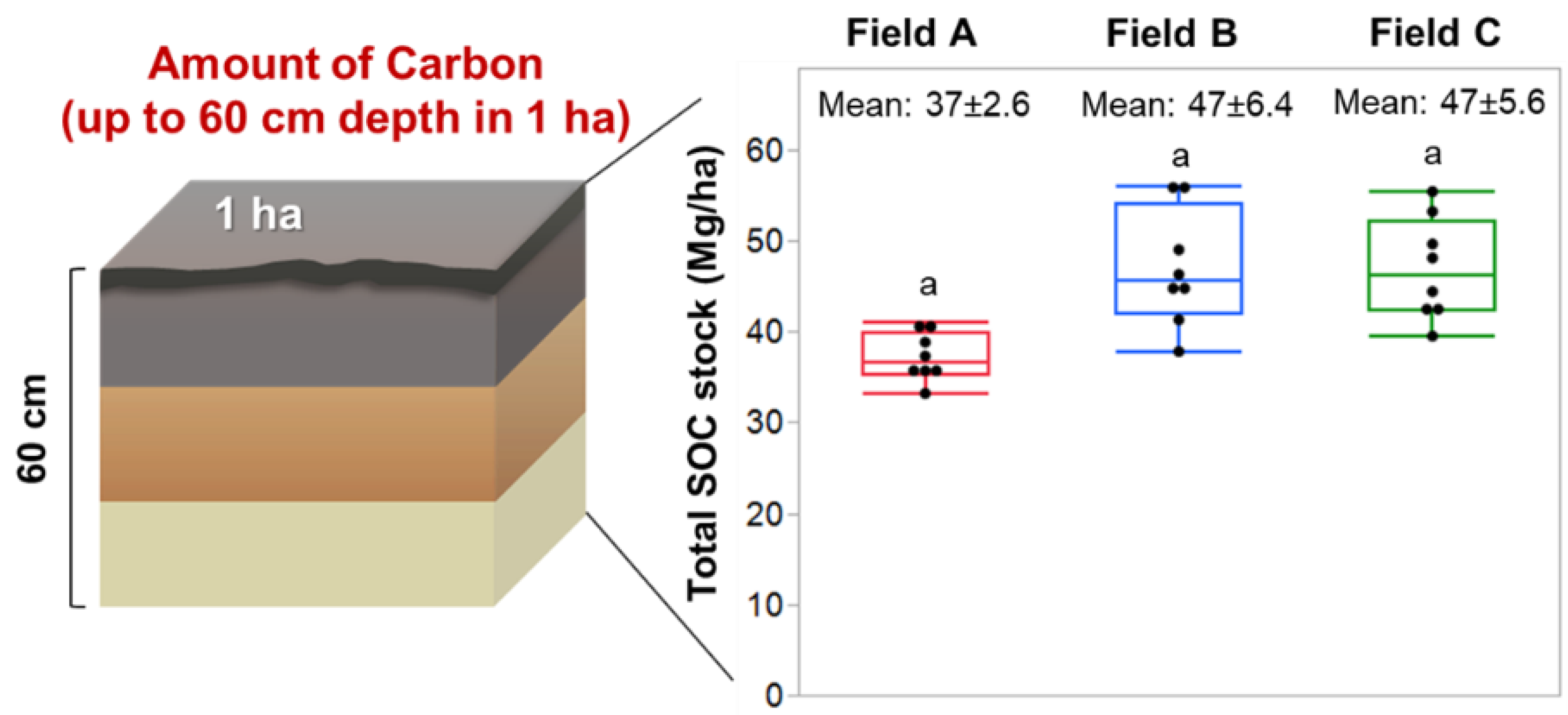 Agronomy 10 01139 g005 Agronomy 10 01139 g005