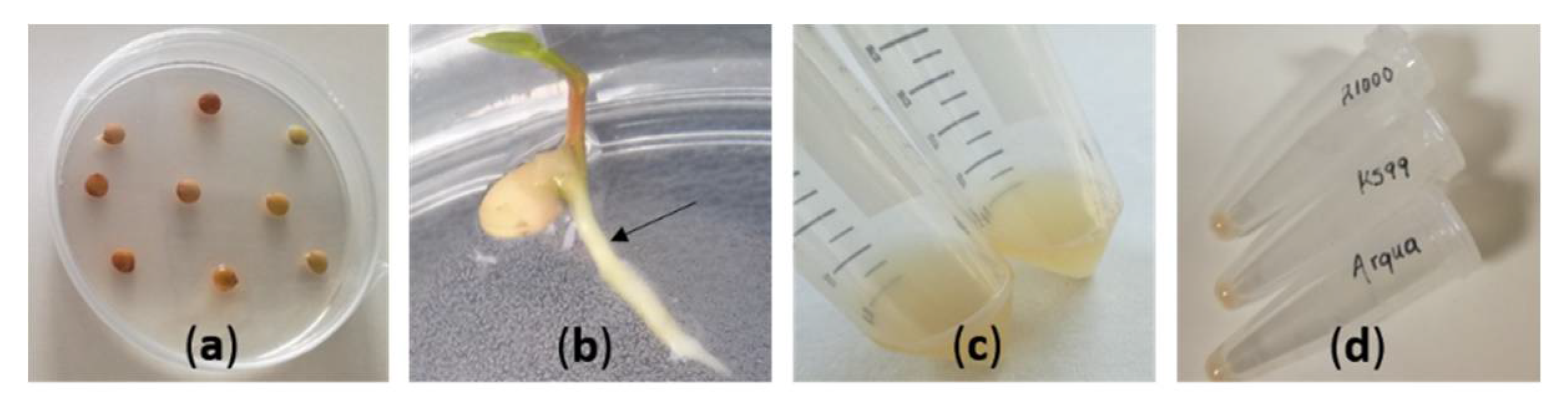 Agronomy 10 01170 g001