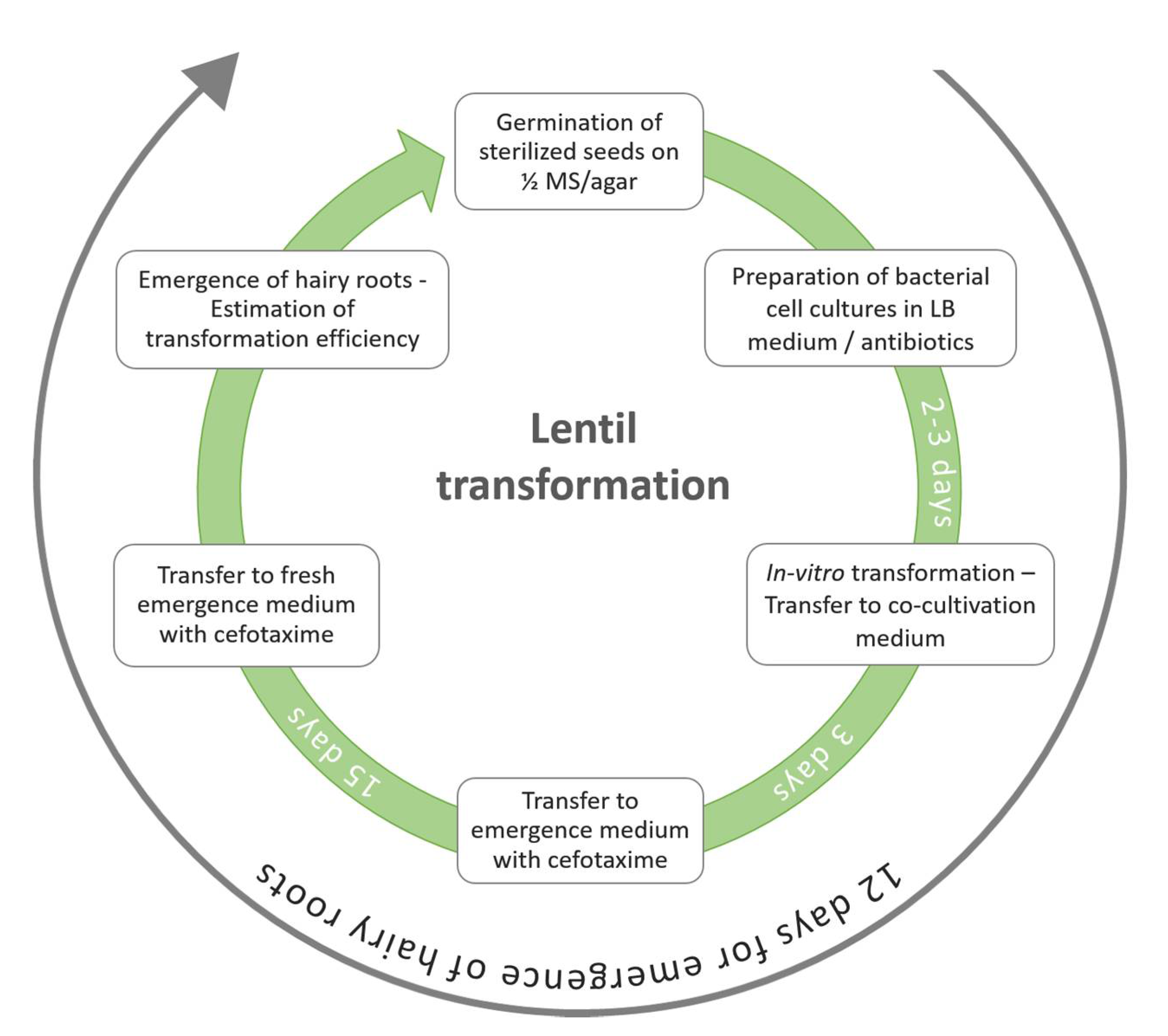 Agronomy 10 01170 g002