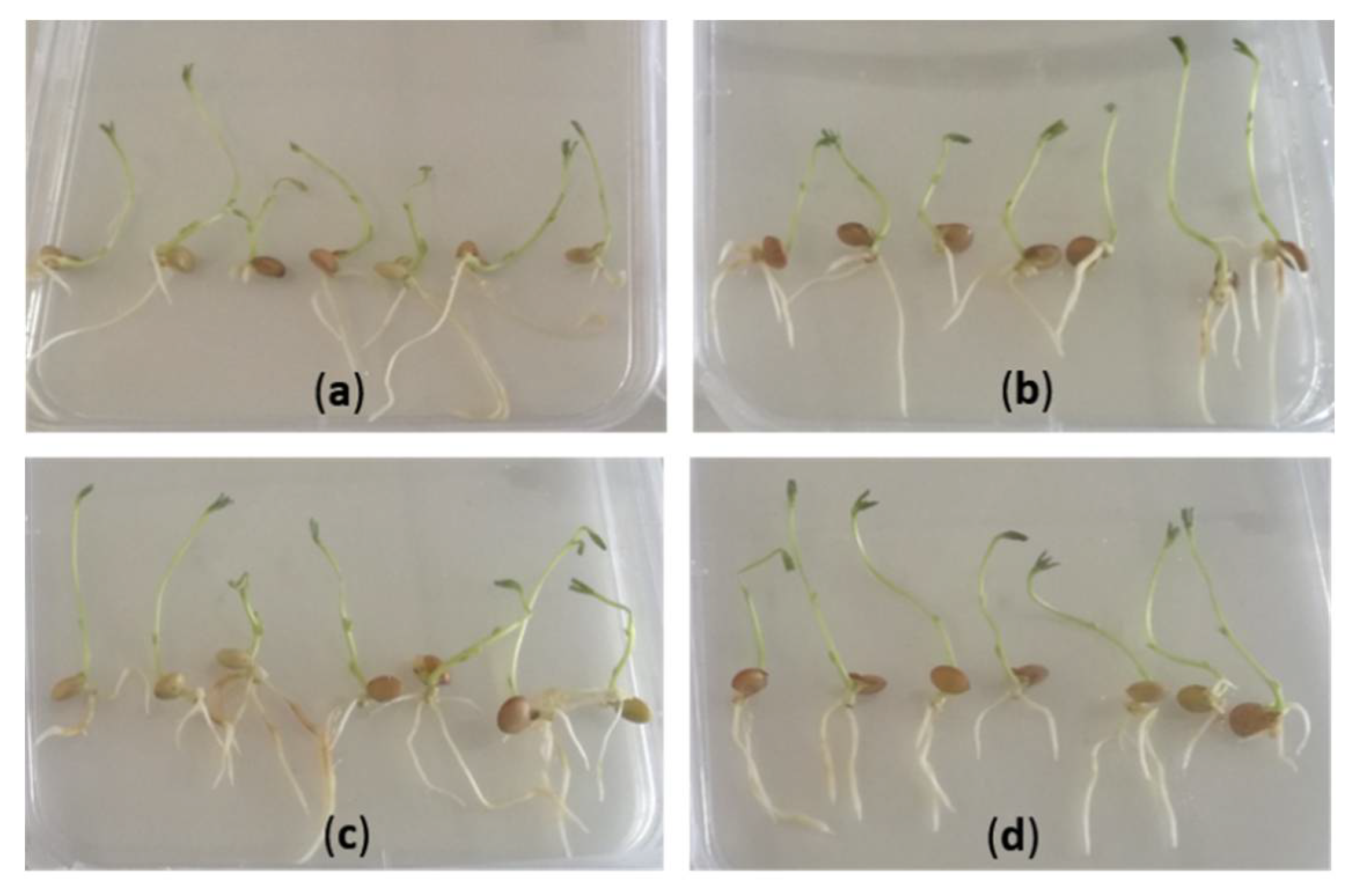 Agronomy 10 01170 g003