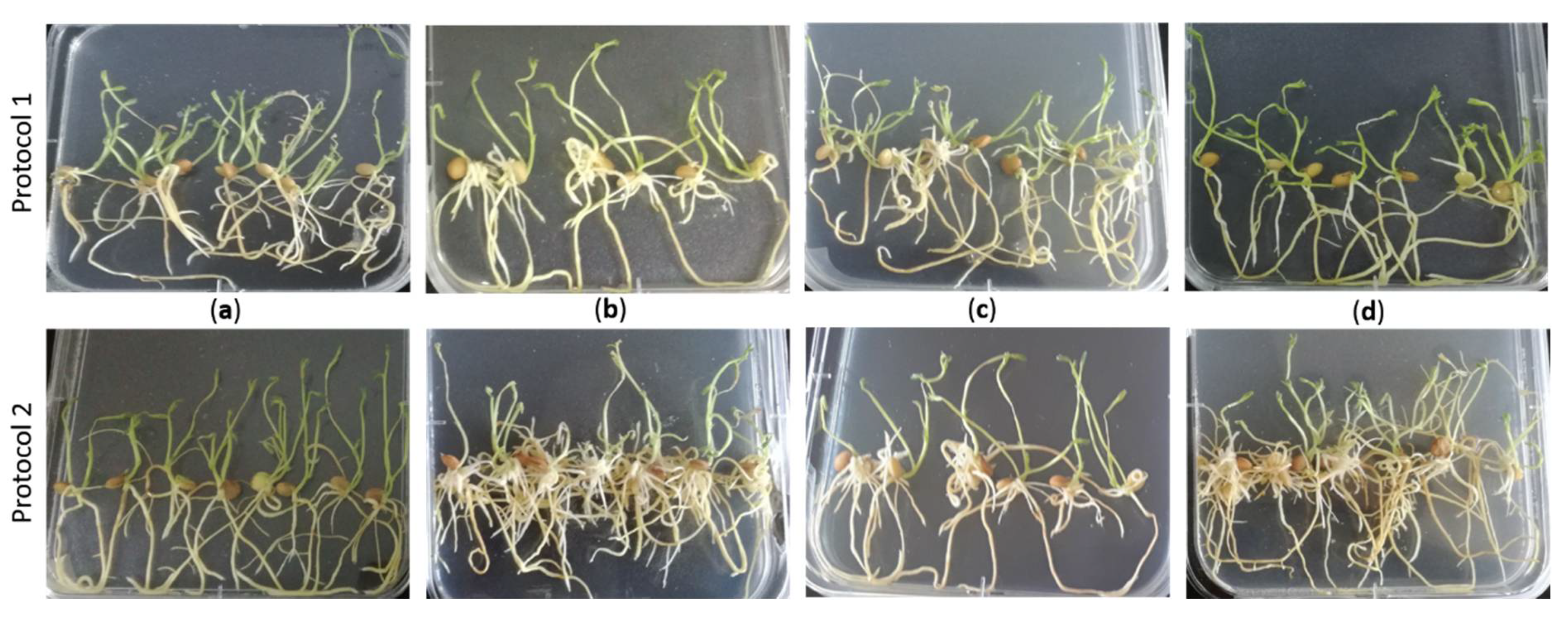 Agronomy 10 01170 g004