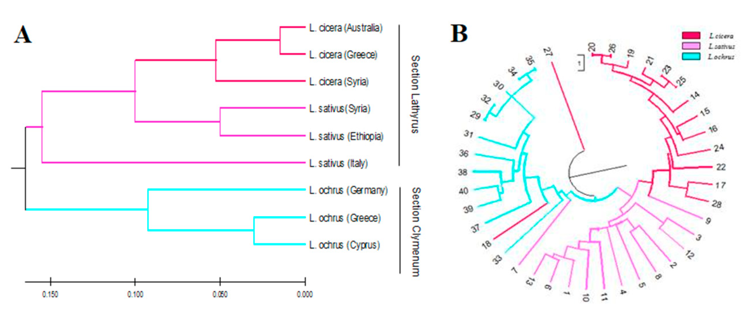 Agronomy 10 01182 g002 Agronomy 10 01182 g002