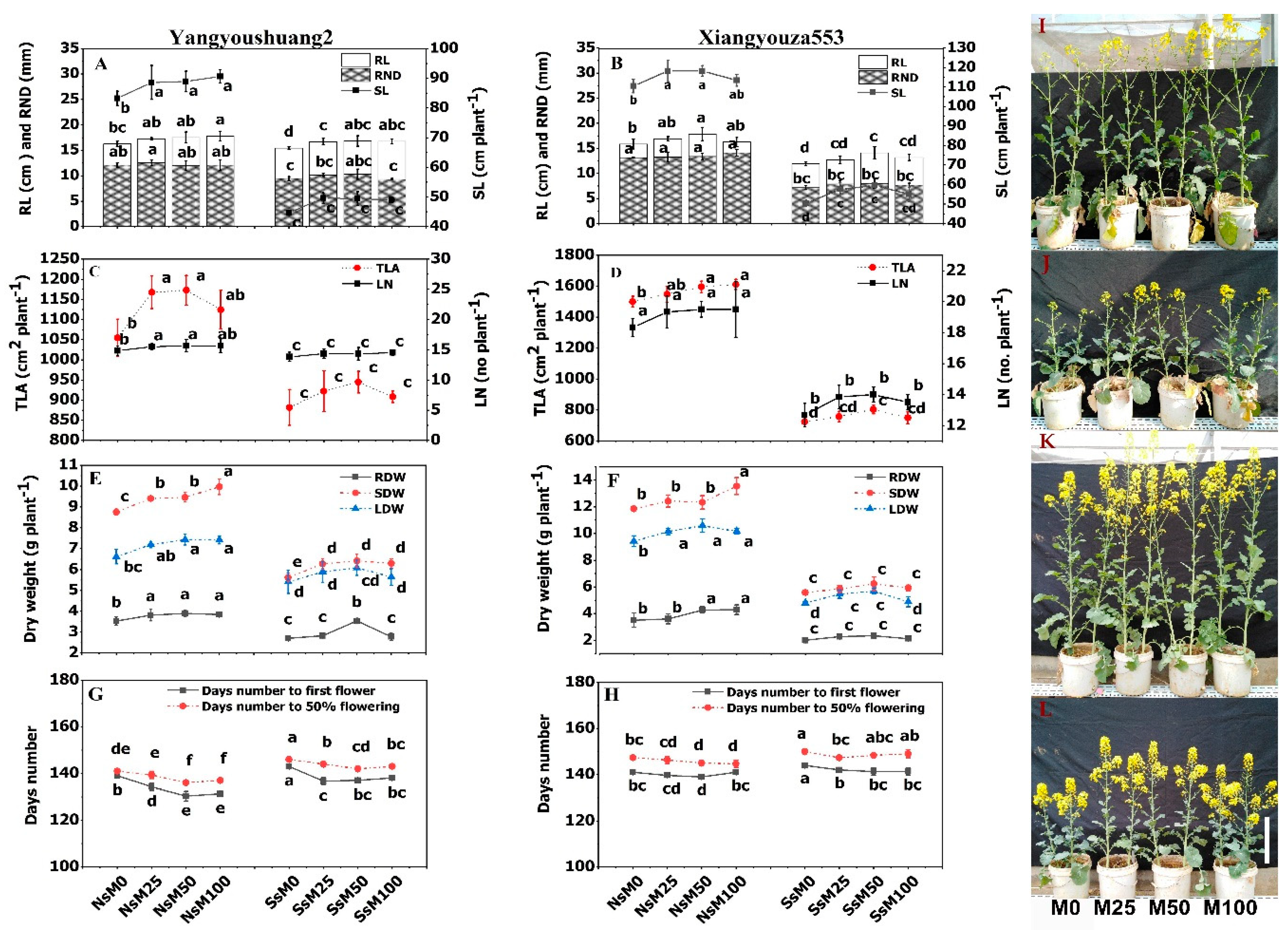 Agronomy 10 01186 g001