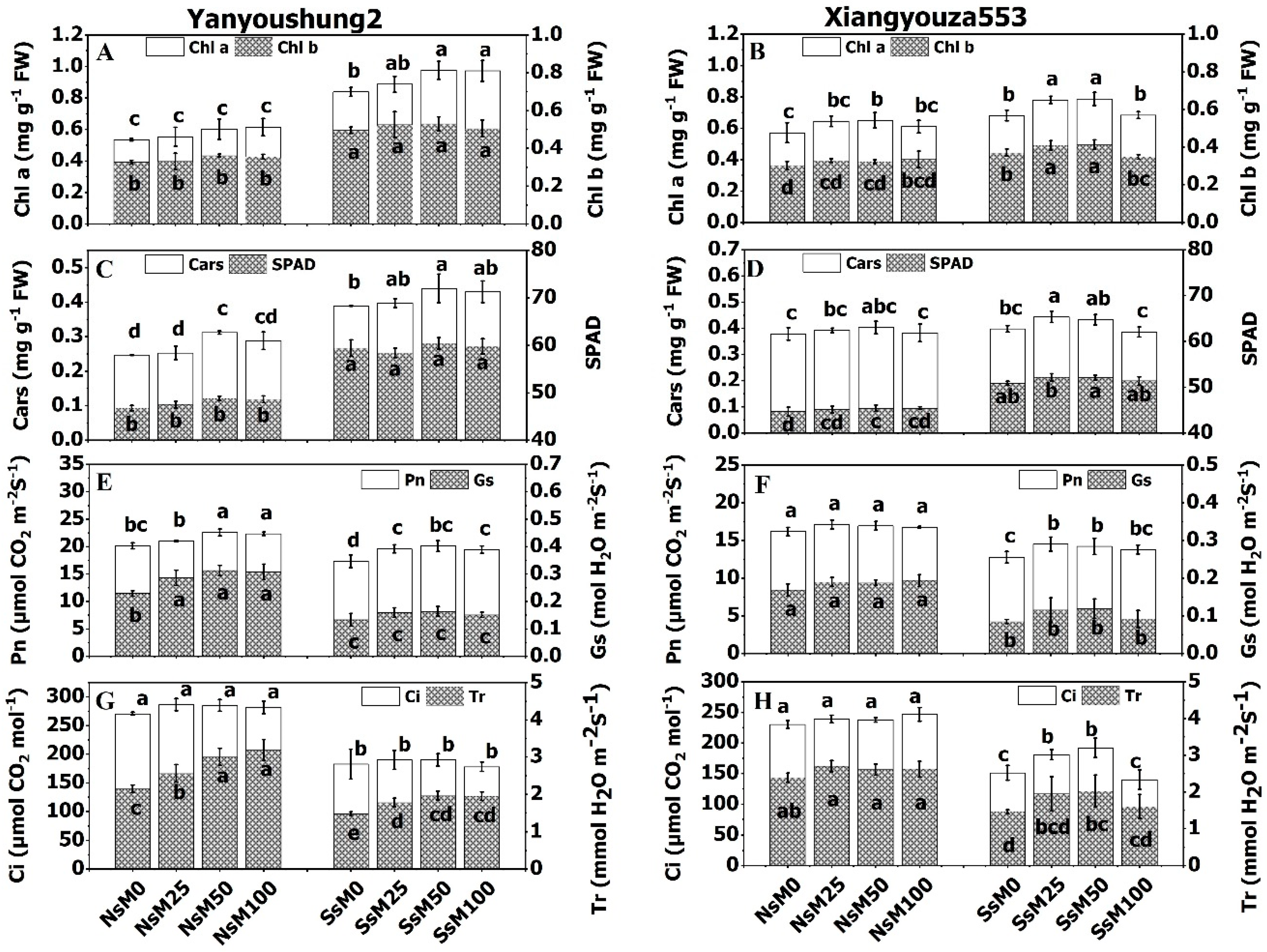 Agronomy 10 01186 g004