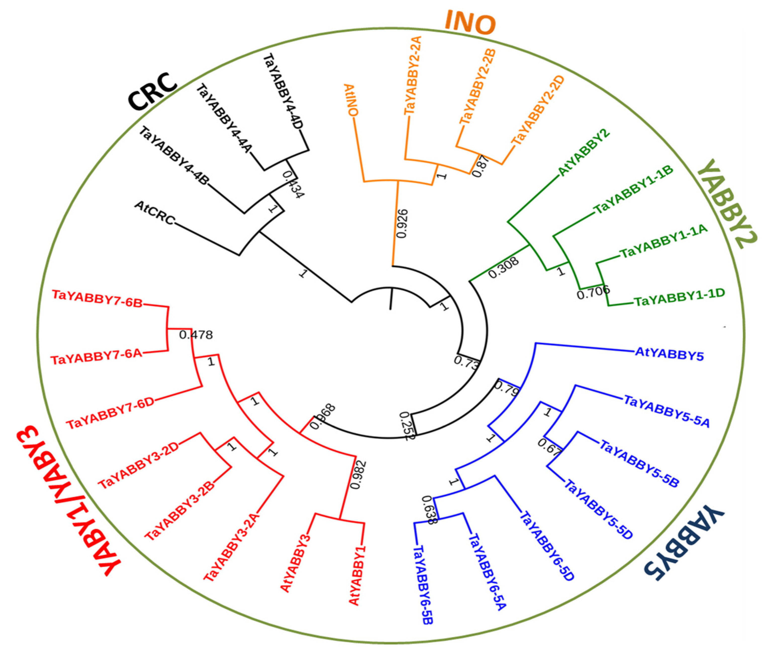 Agronomy 10 01189 g001