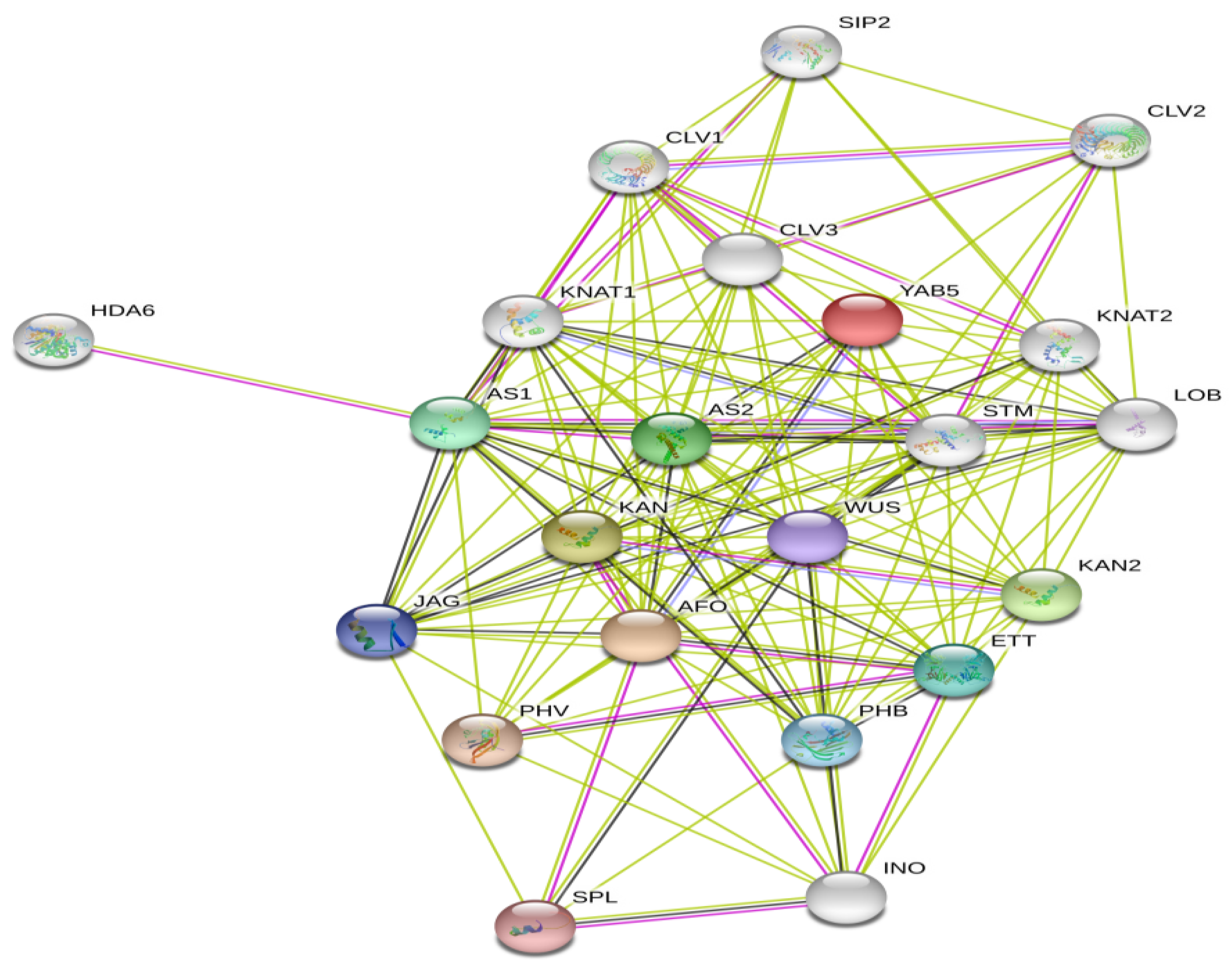 Agronomy 10 01189 g006