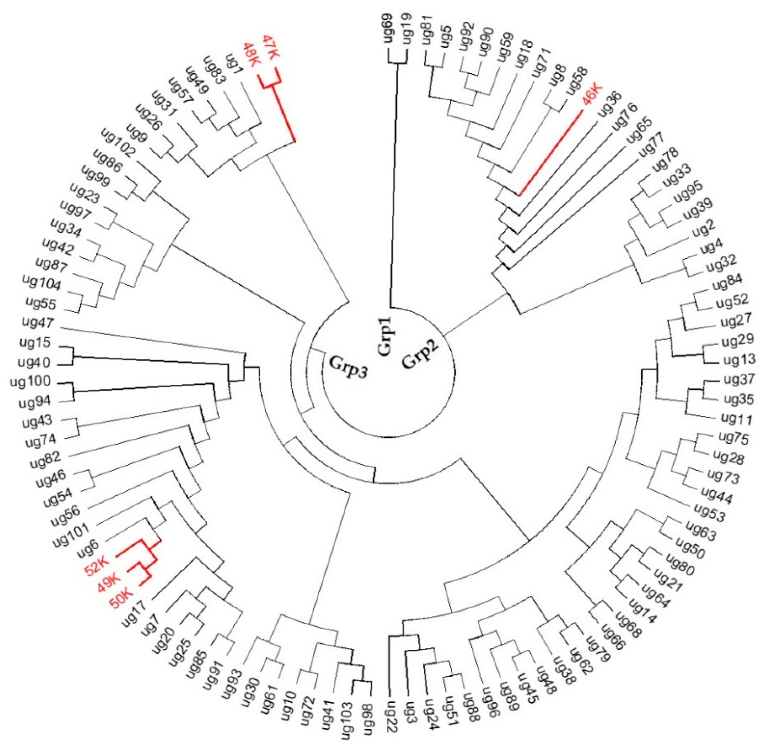 Agronomy 10 01193 g003