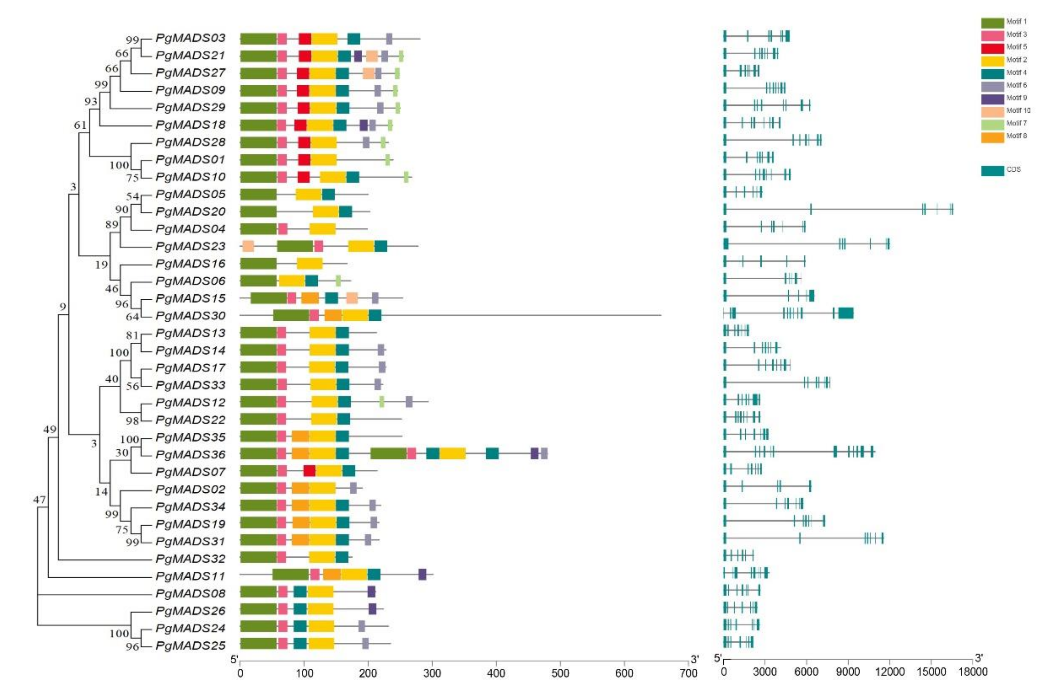 Agronomy 10 01197 g002 Agronomy 10 01197 g002
