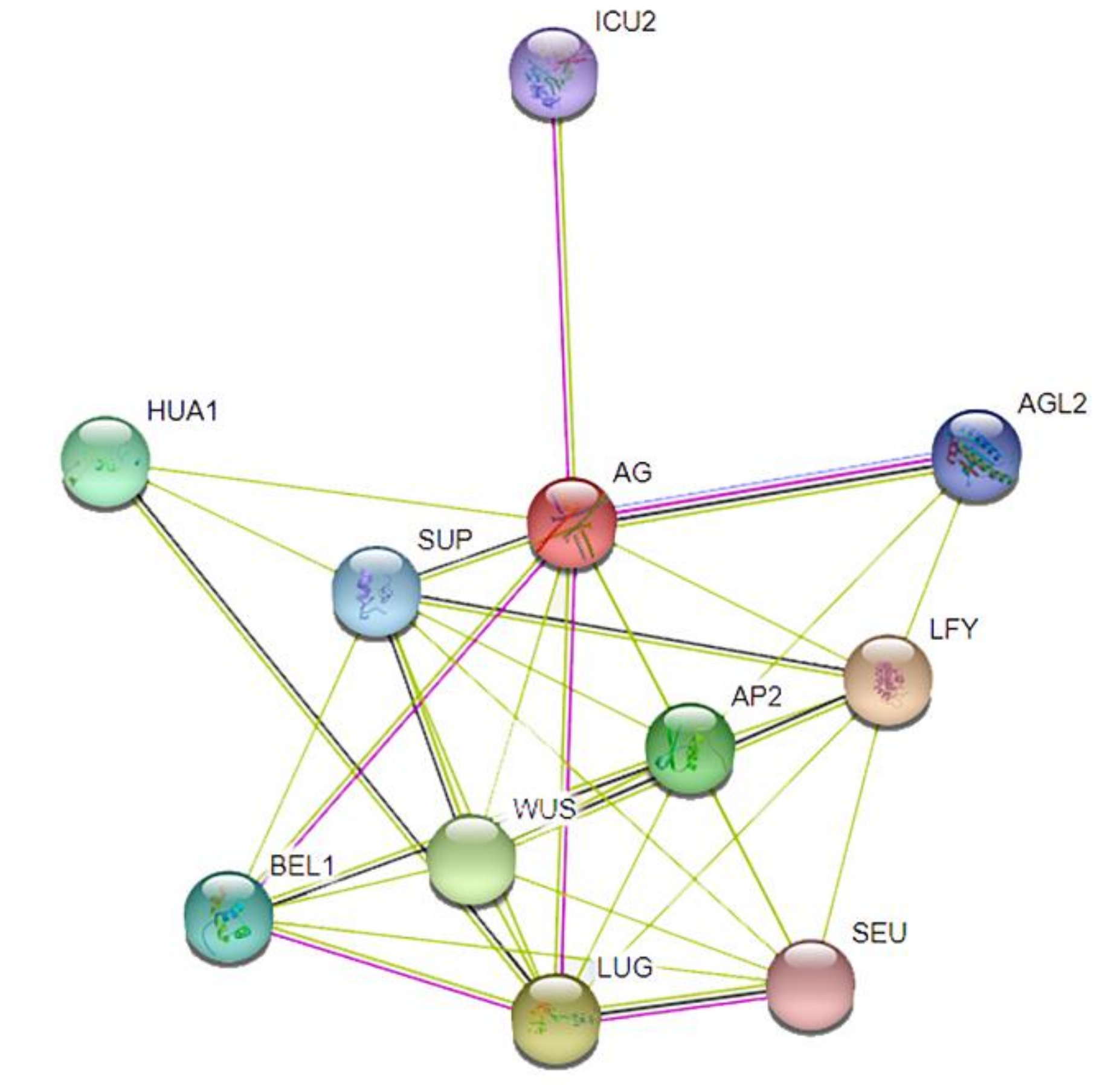 Agronomy 10 01197 g005 Agronomy 10 01197 g005