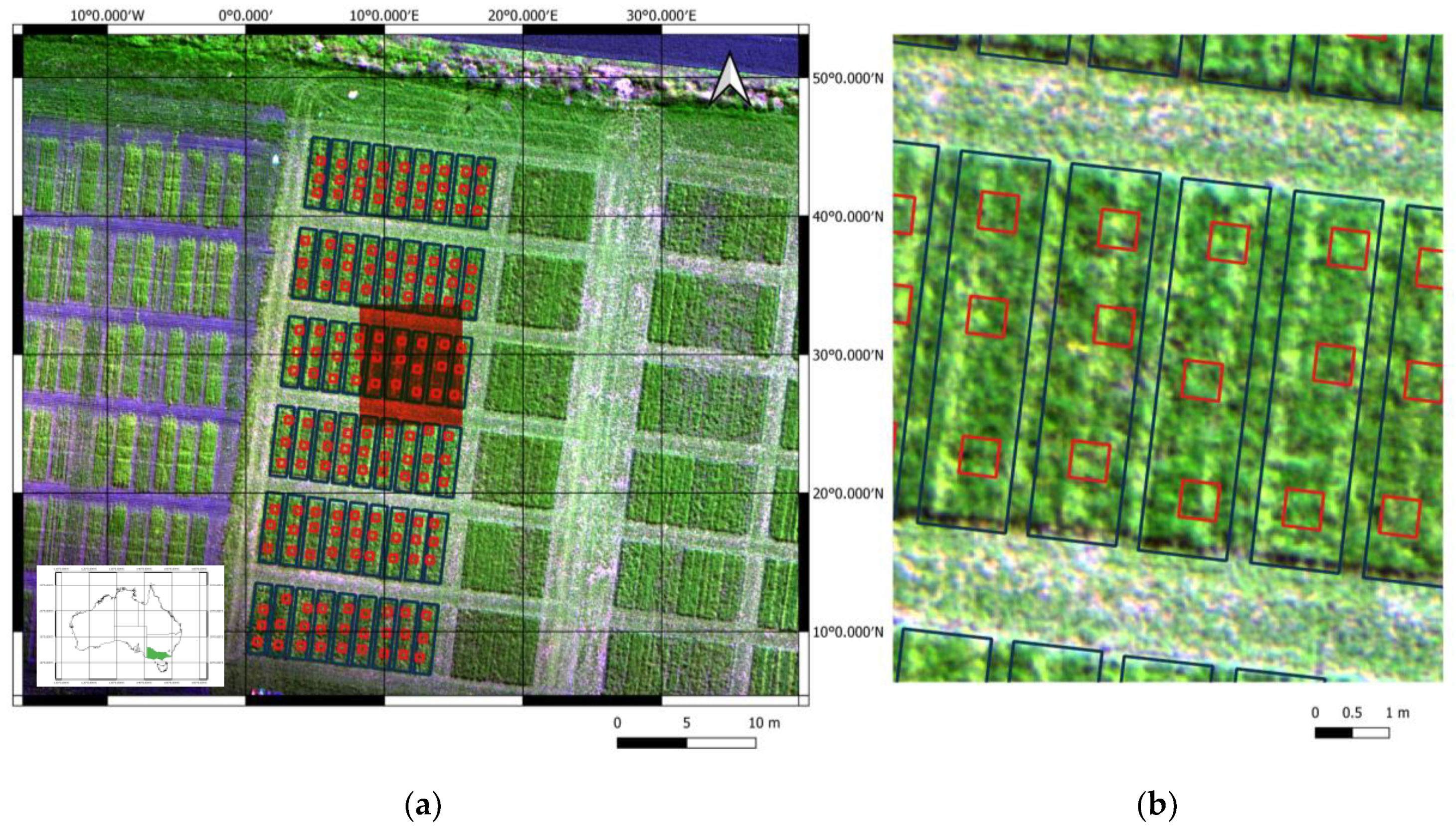 Agronomy 10 01206 g001 Agronomy 10 01206 g001