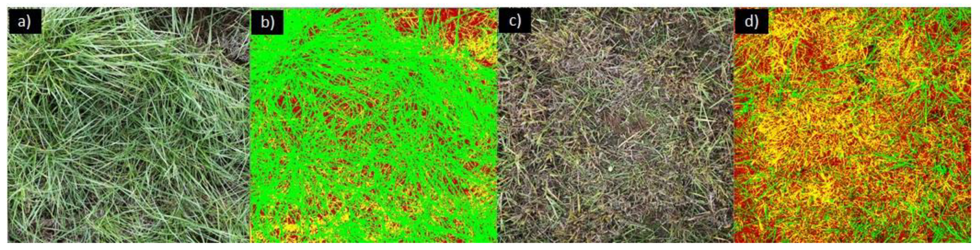 Agronomy 10 01206 g010 Agronomy 10 01206 g010