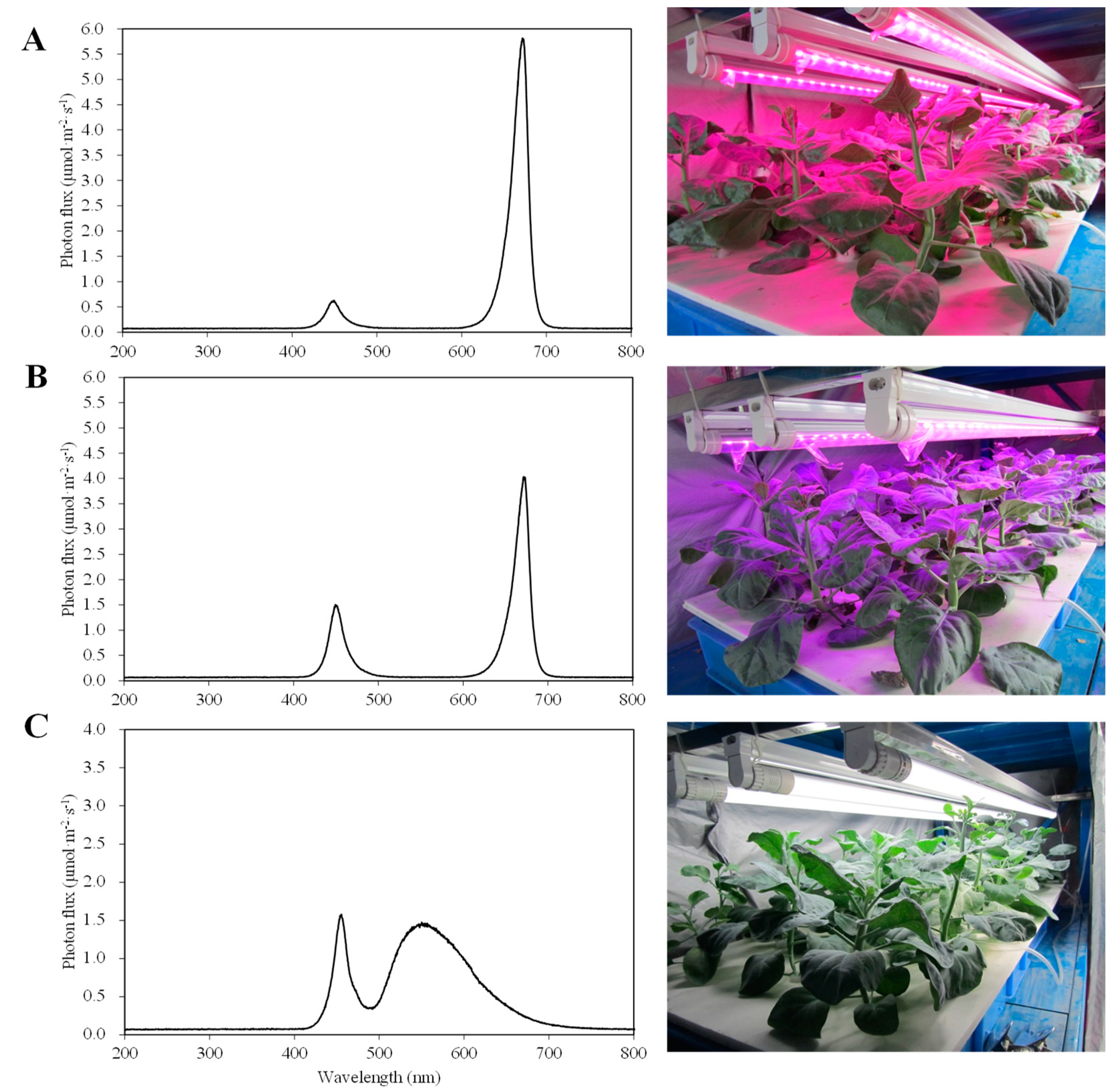 Agronomy 10 01248 g001