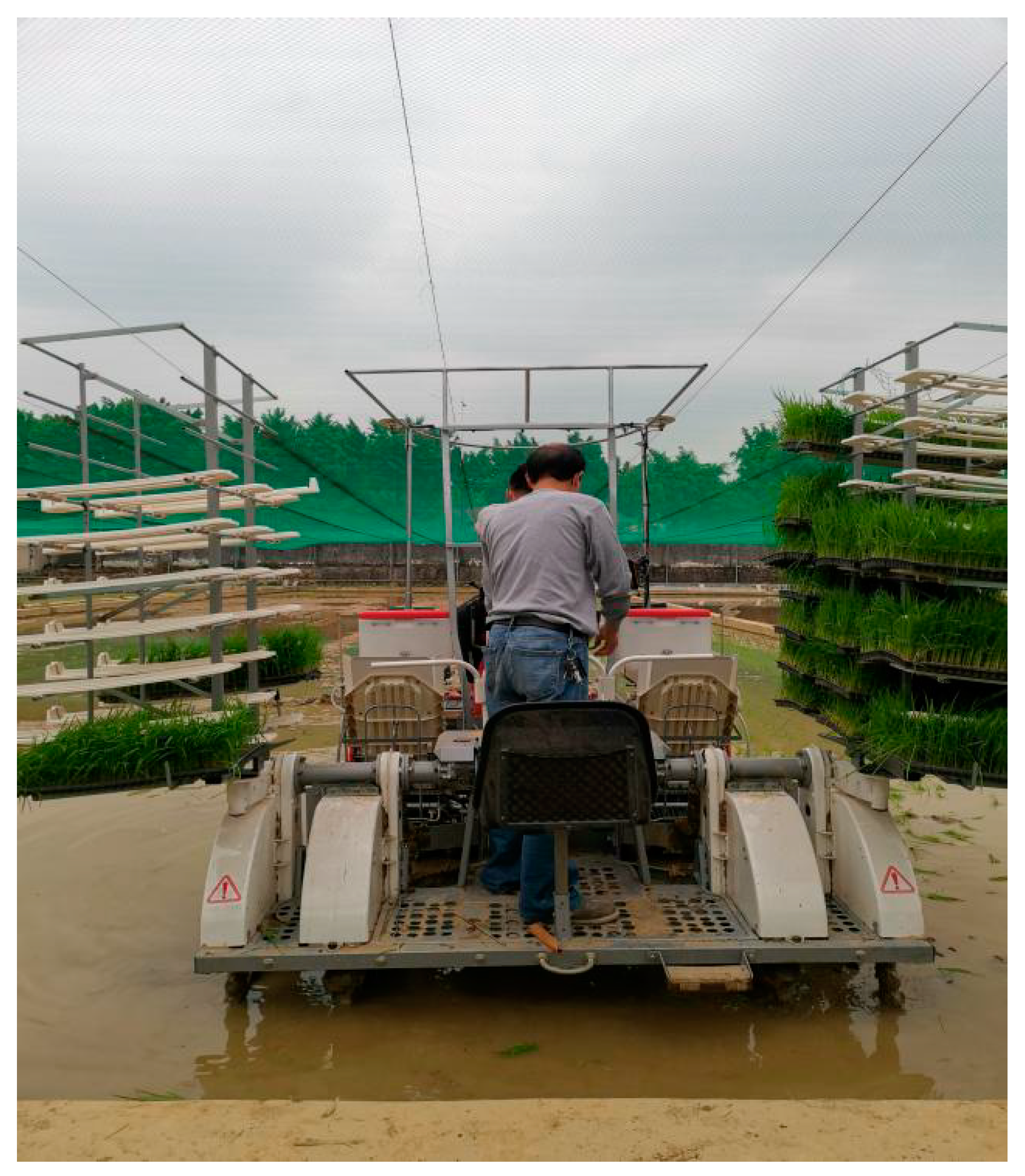 Agronomy 10 01252 g001