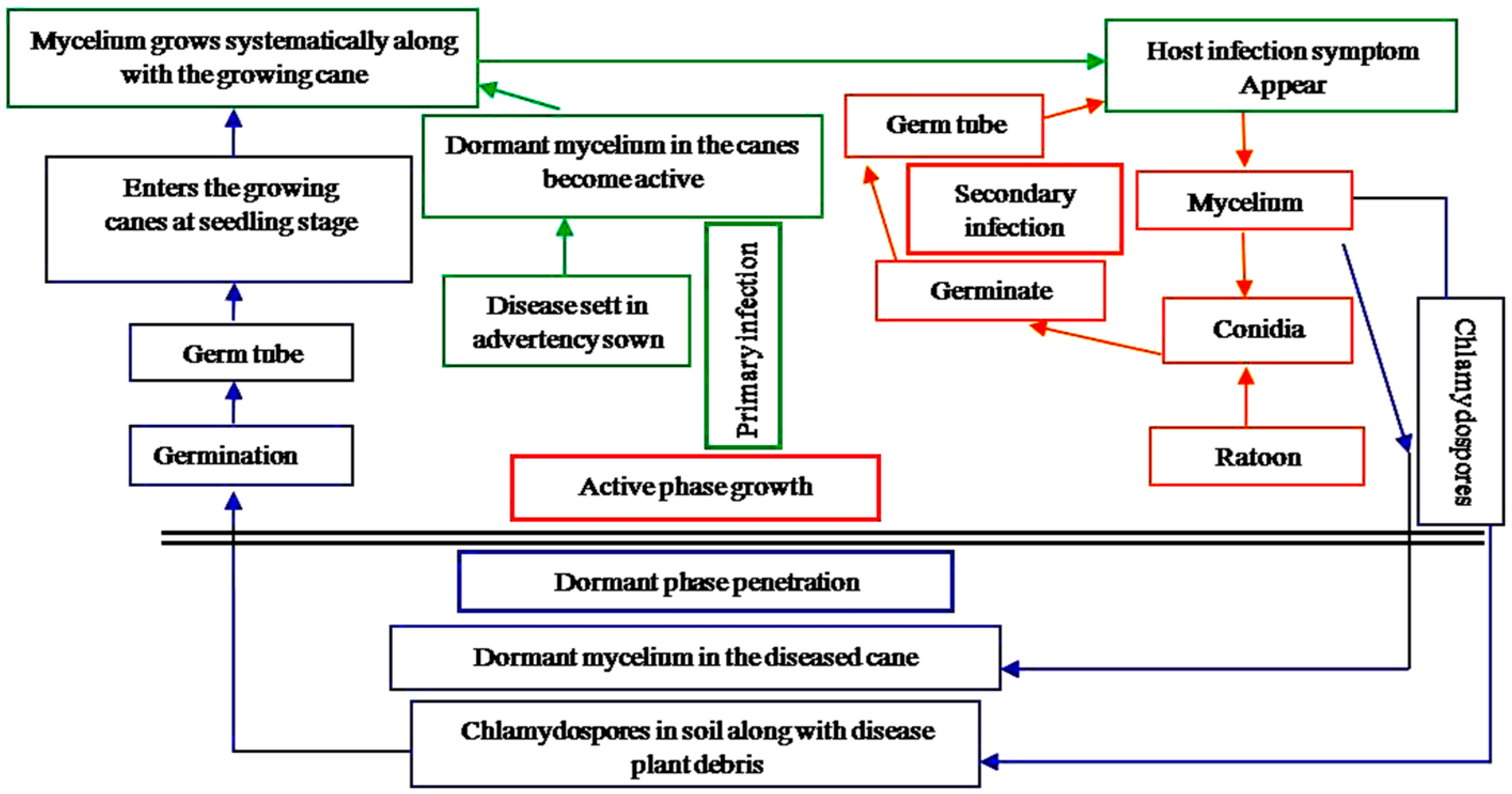 Agronomy 10 01253 g001