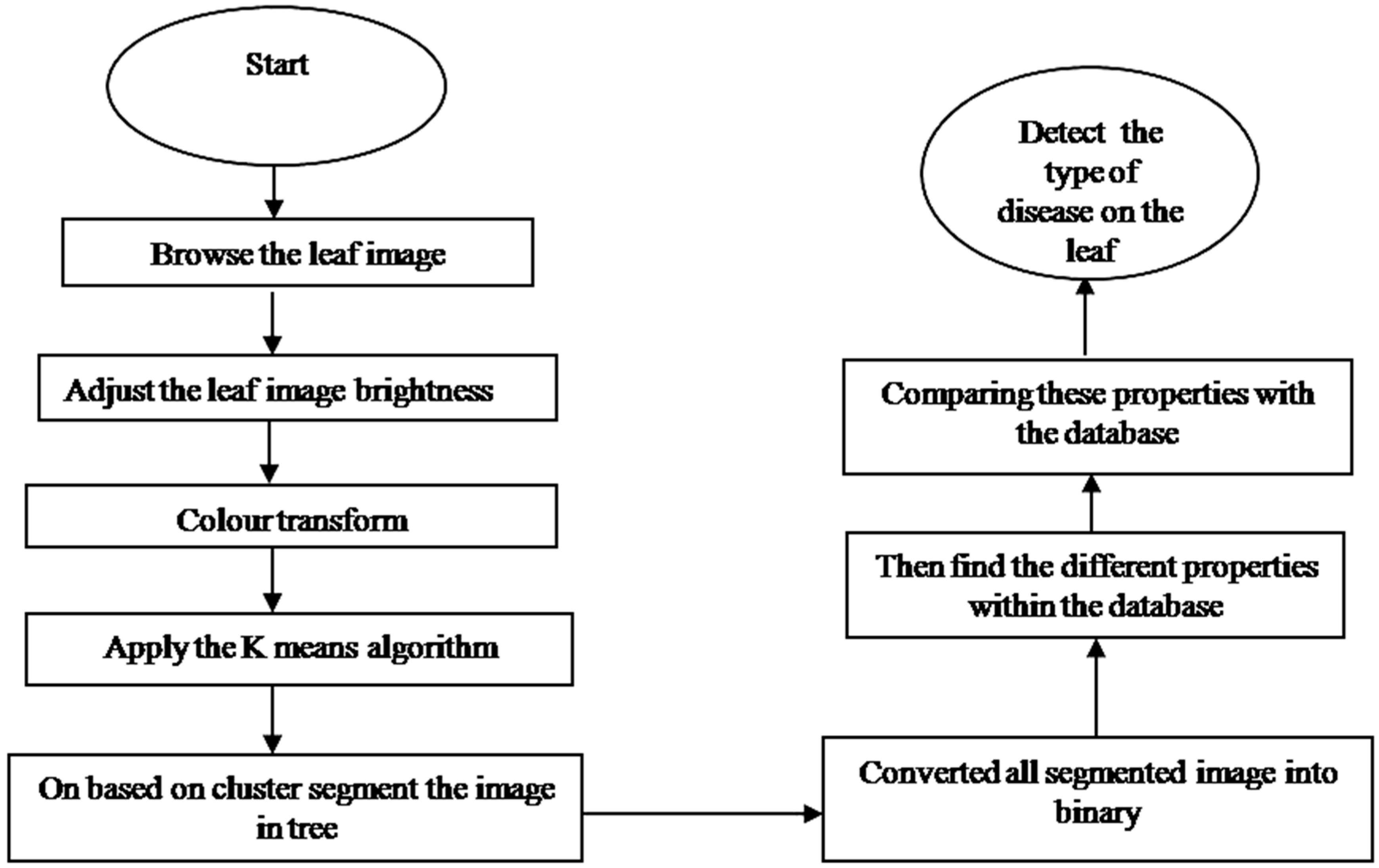 Agronomy 10 01253 g003