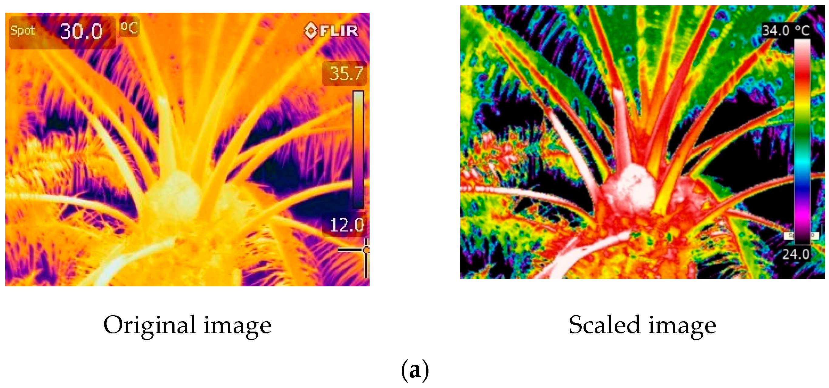 Agronomy 10 01253 g004a