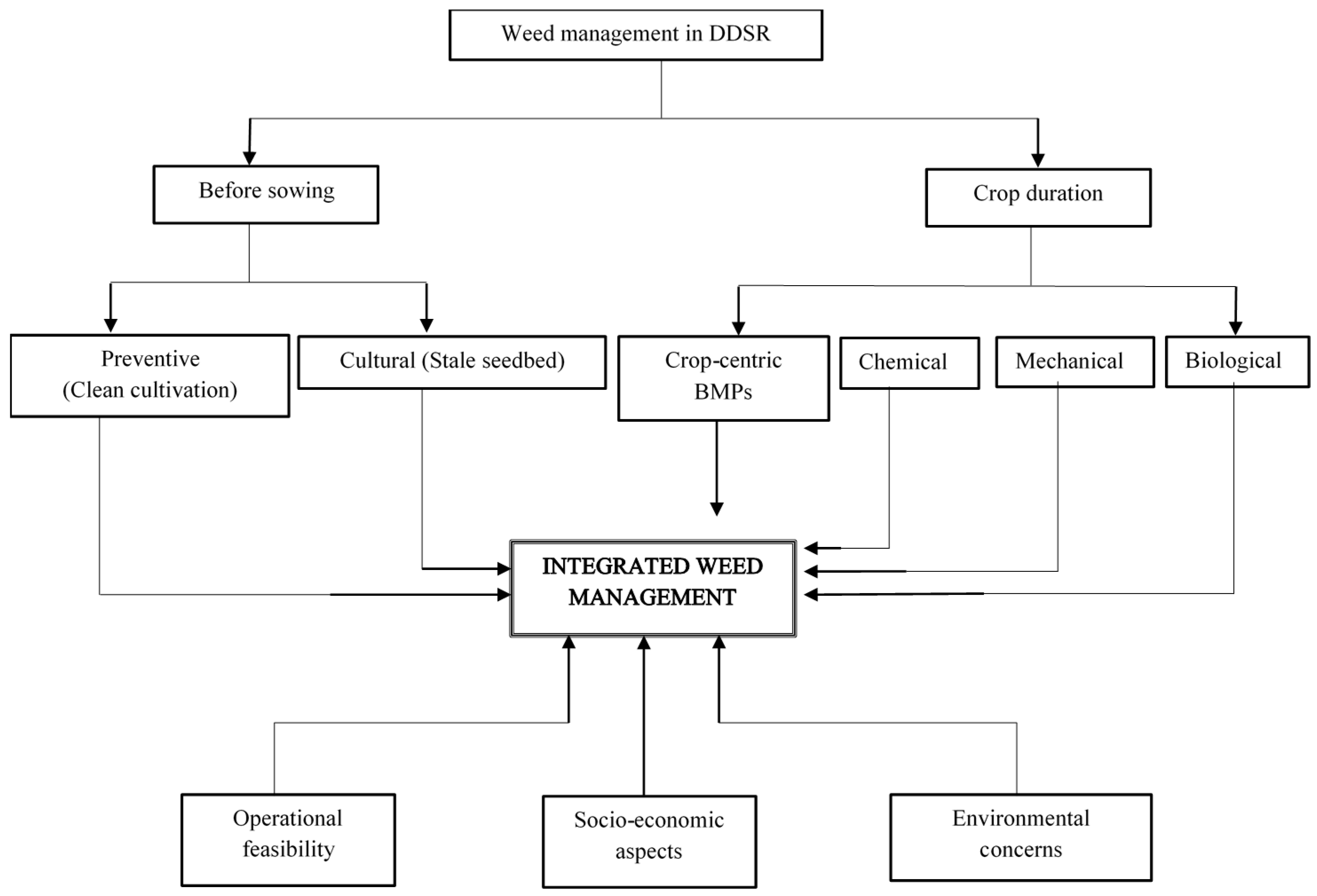 Agronomy 10 01264 g002