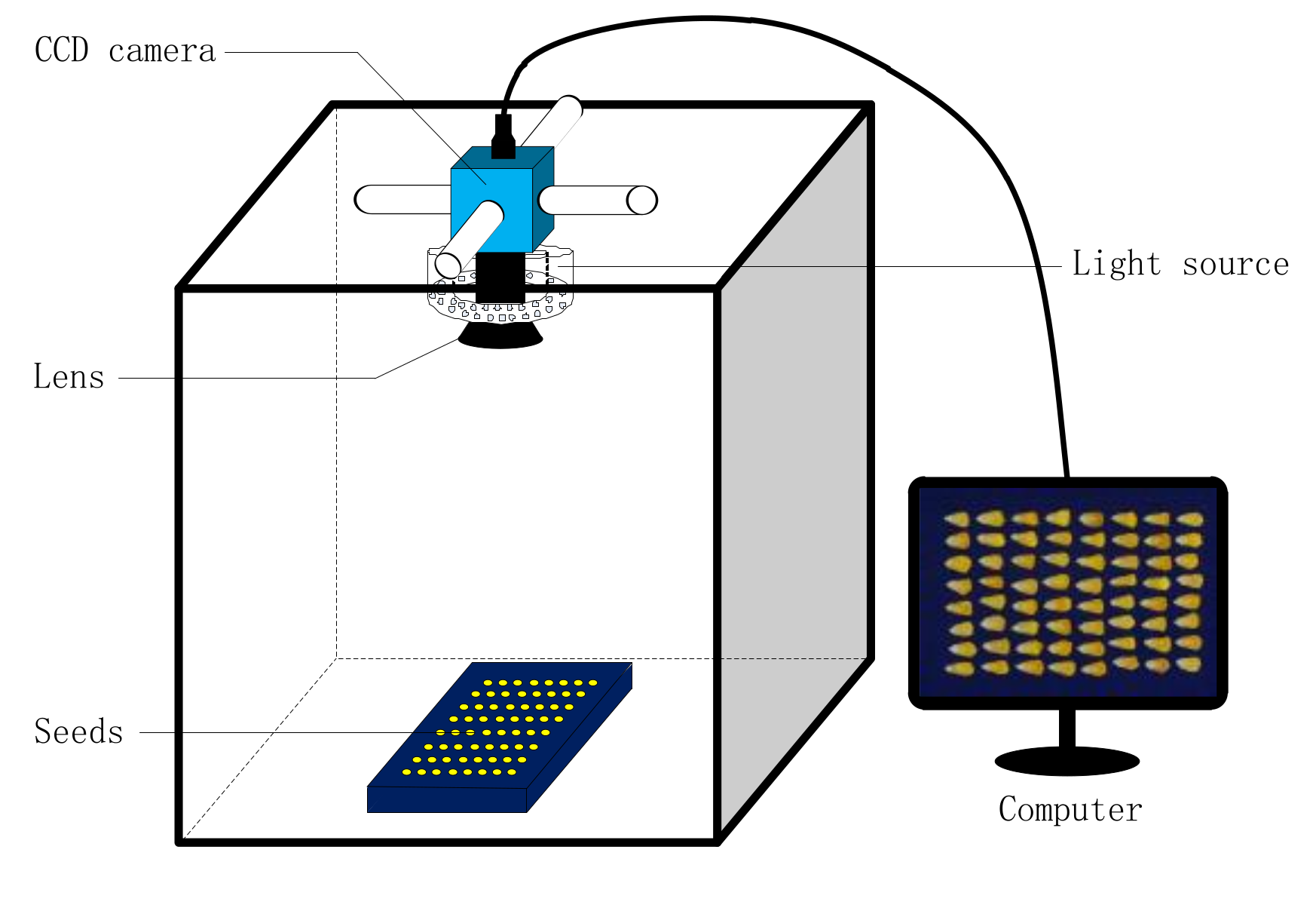 Agronomy 10 01268 g002 Agronomy 10 01268 g002