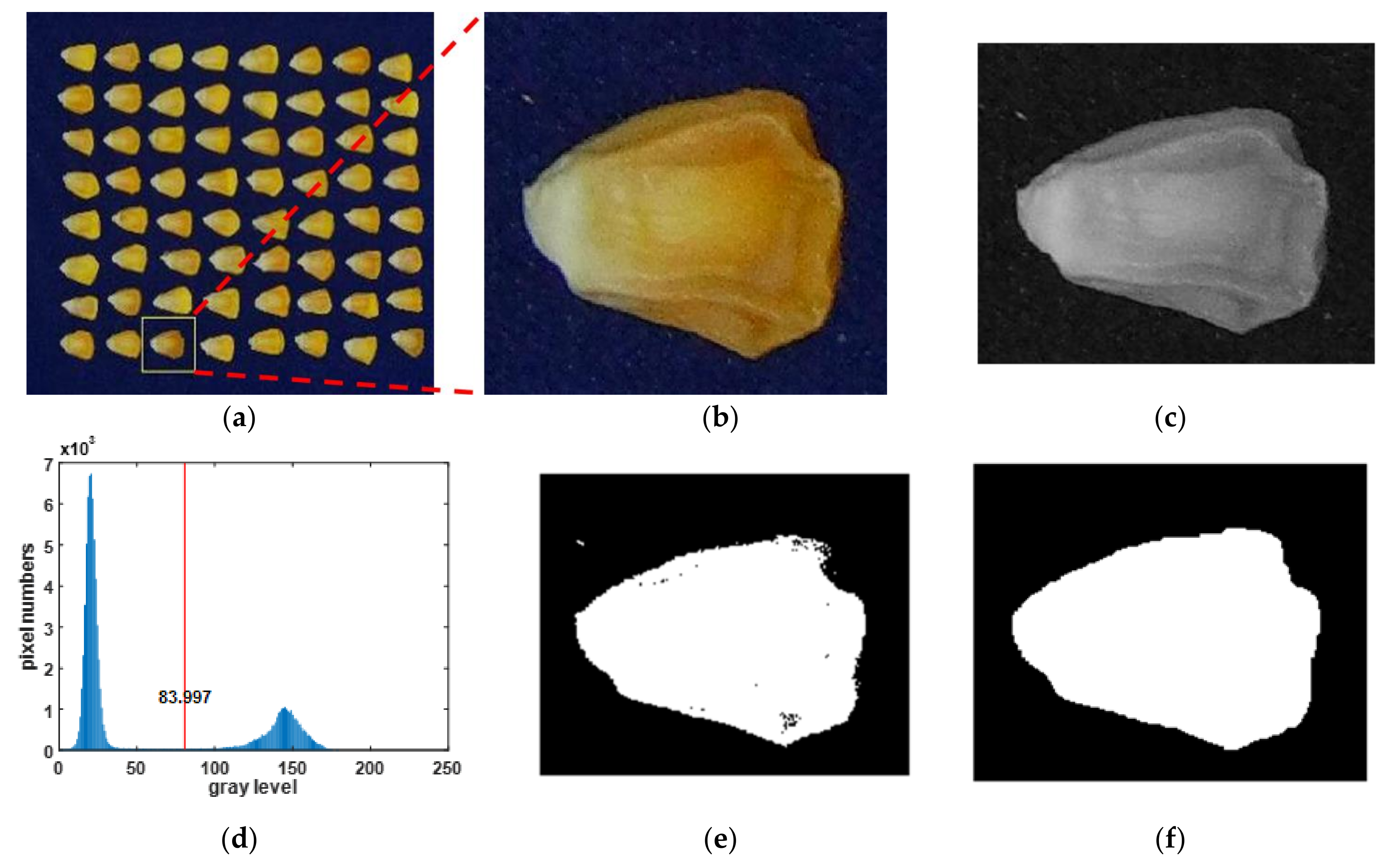 Agronomy 10 01268 g004 Agronomy 10 01268 g004