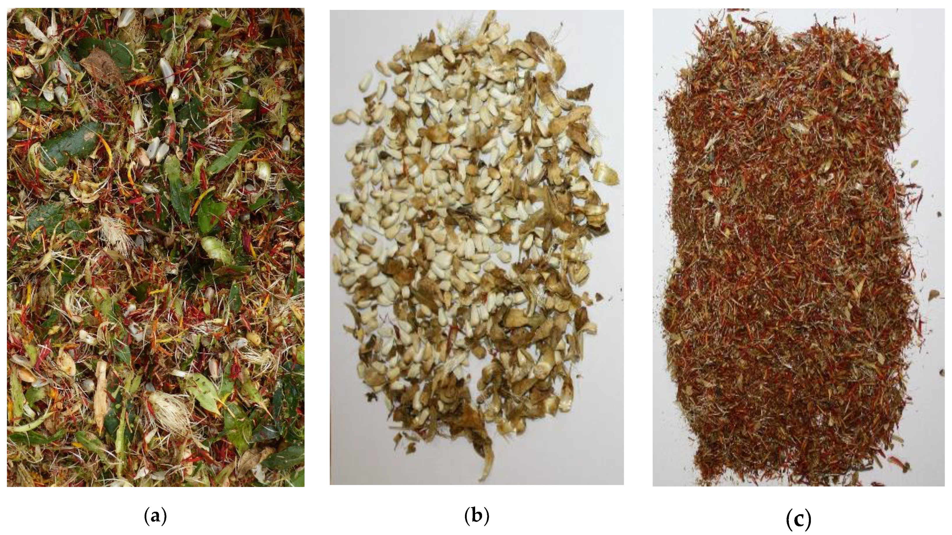 Agronomy 10 01272 g001