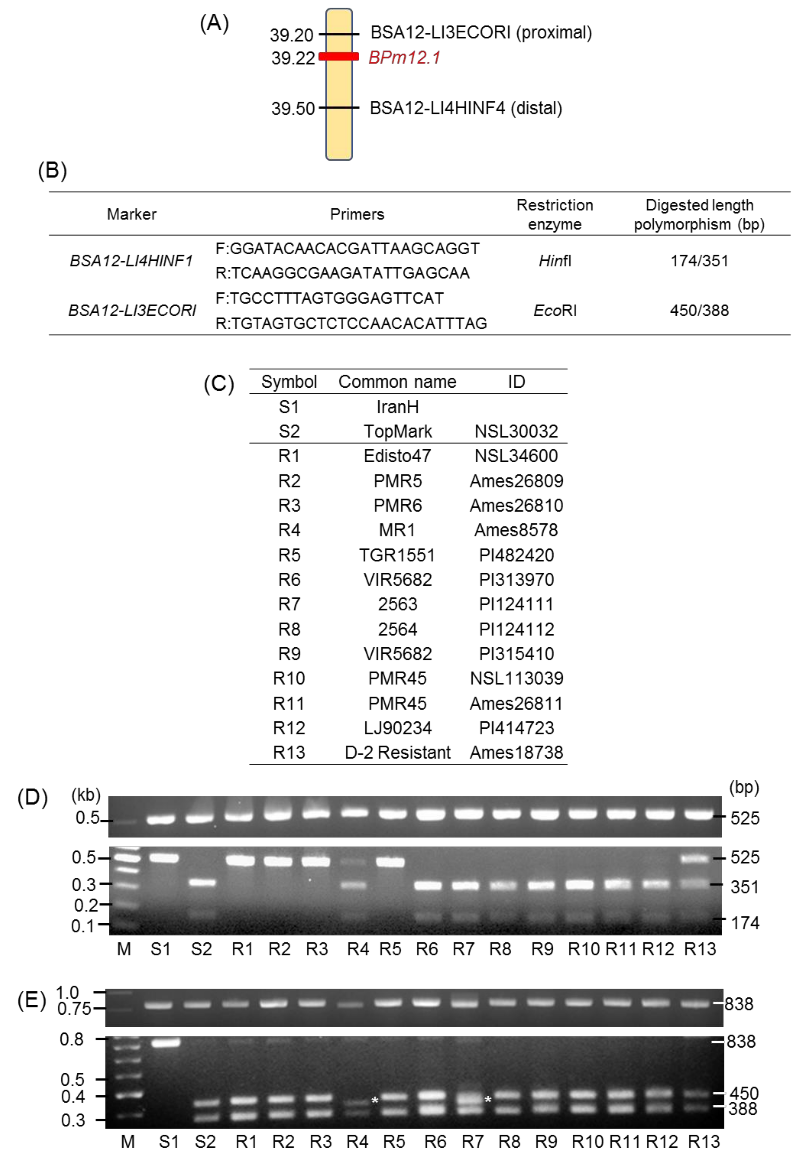 Agronomy 10 01274 g001 Agronomy 10 01274 g001