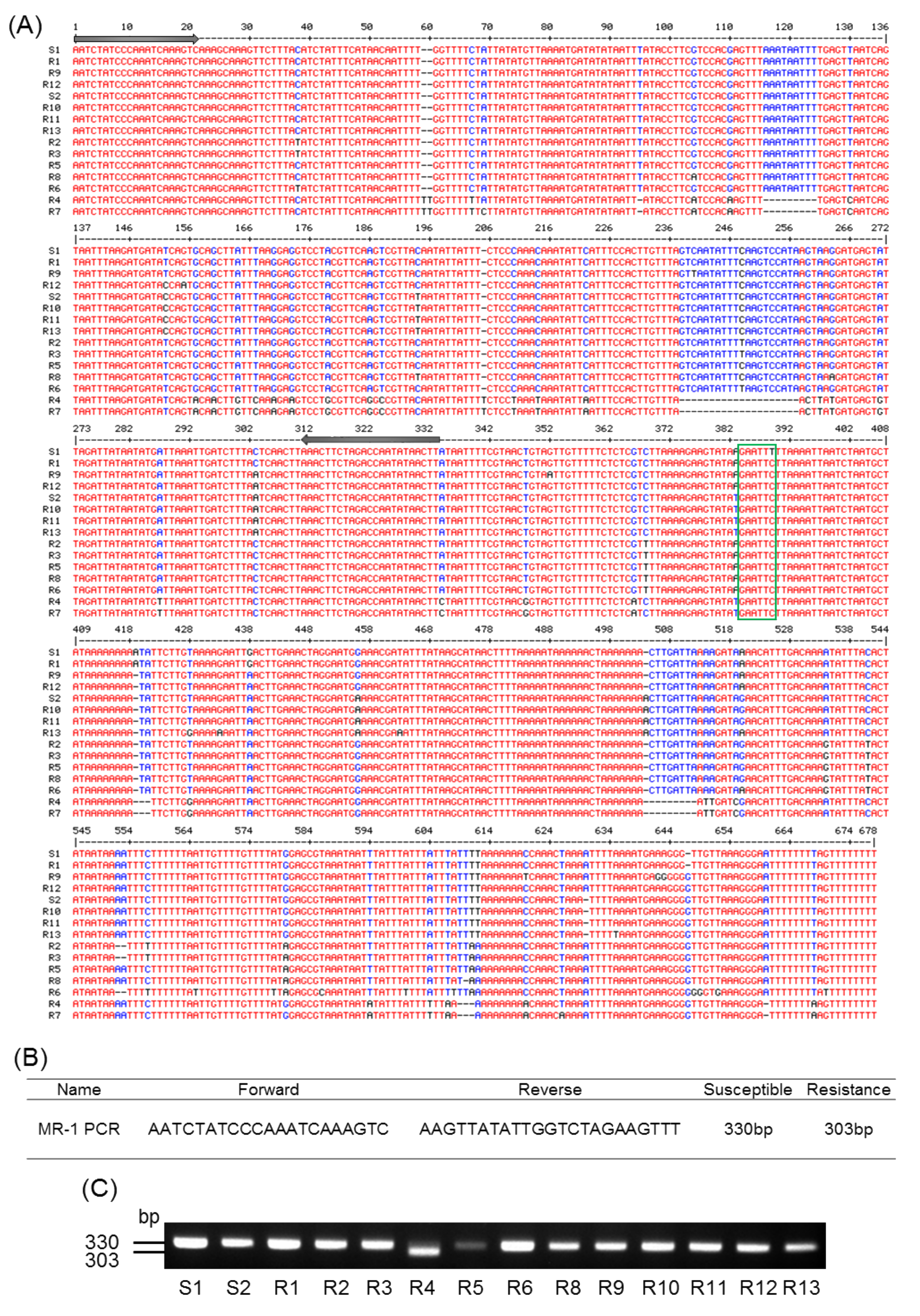 Agronomy 10 01274 g002 Agronomy 10 01274 g002