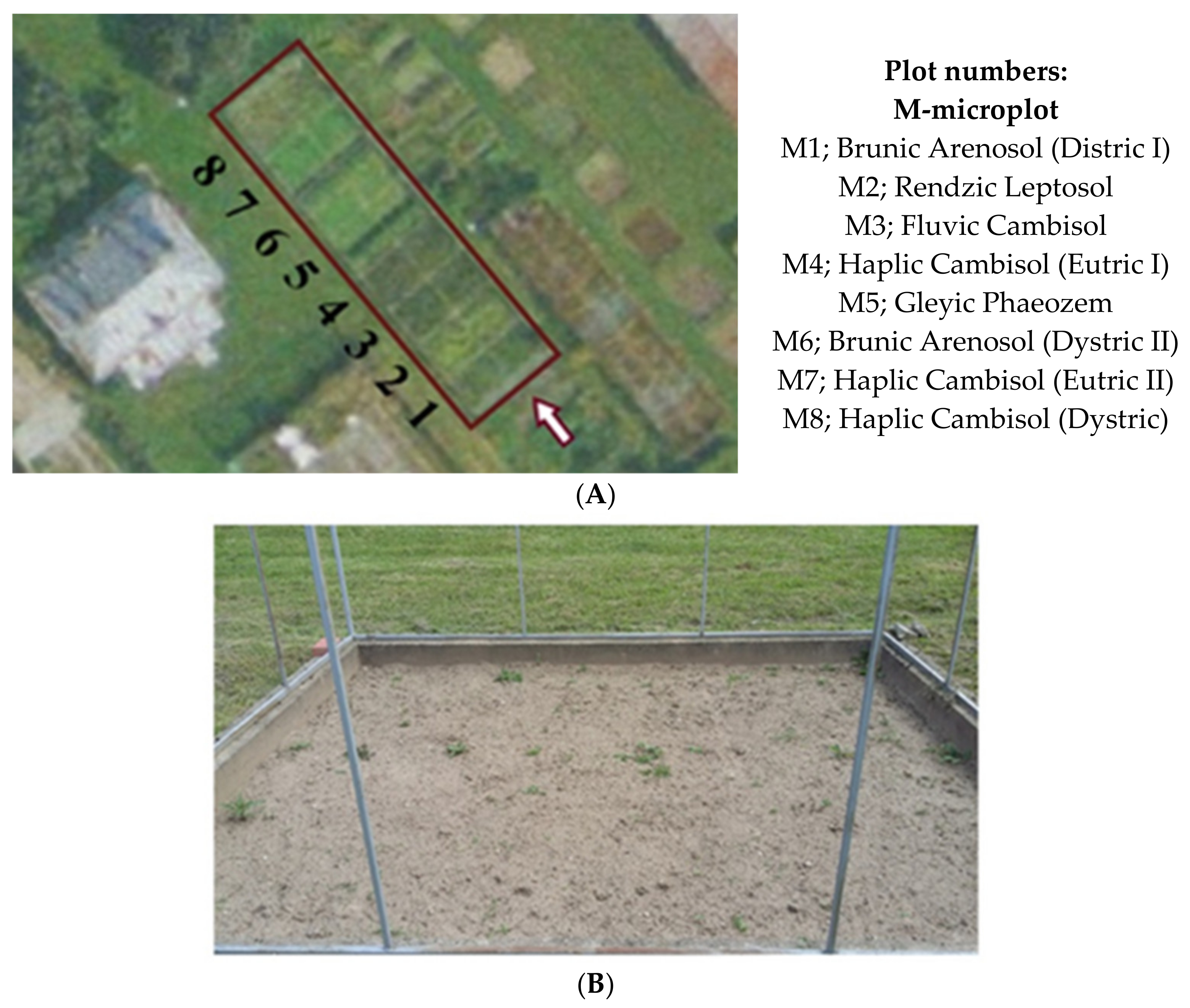 Agronomy 10 01279 g001