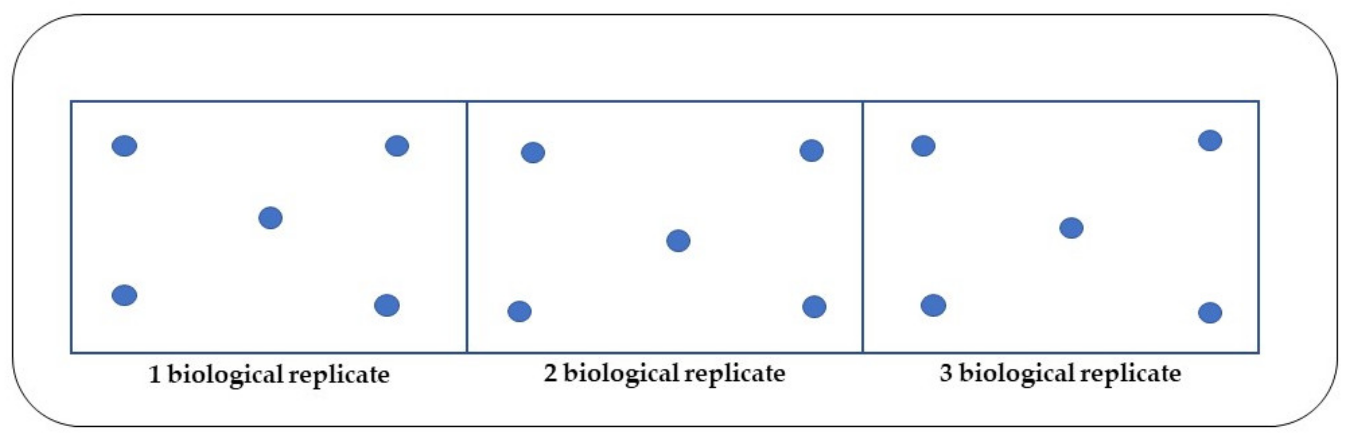 Agronomy 10 01279 g002