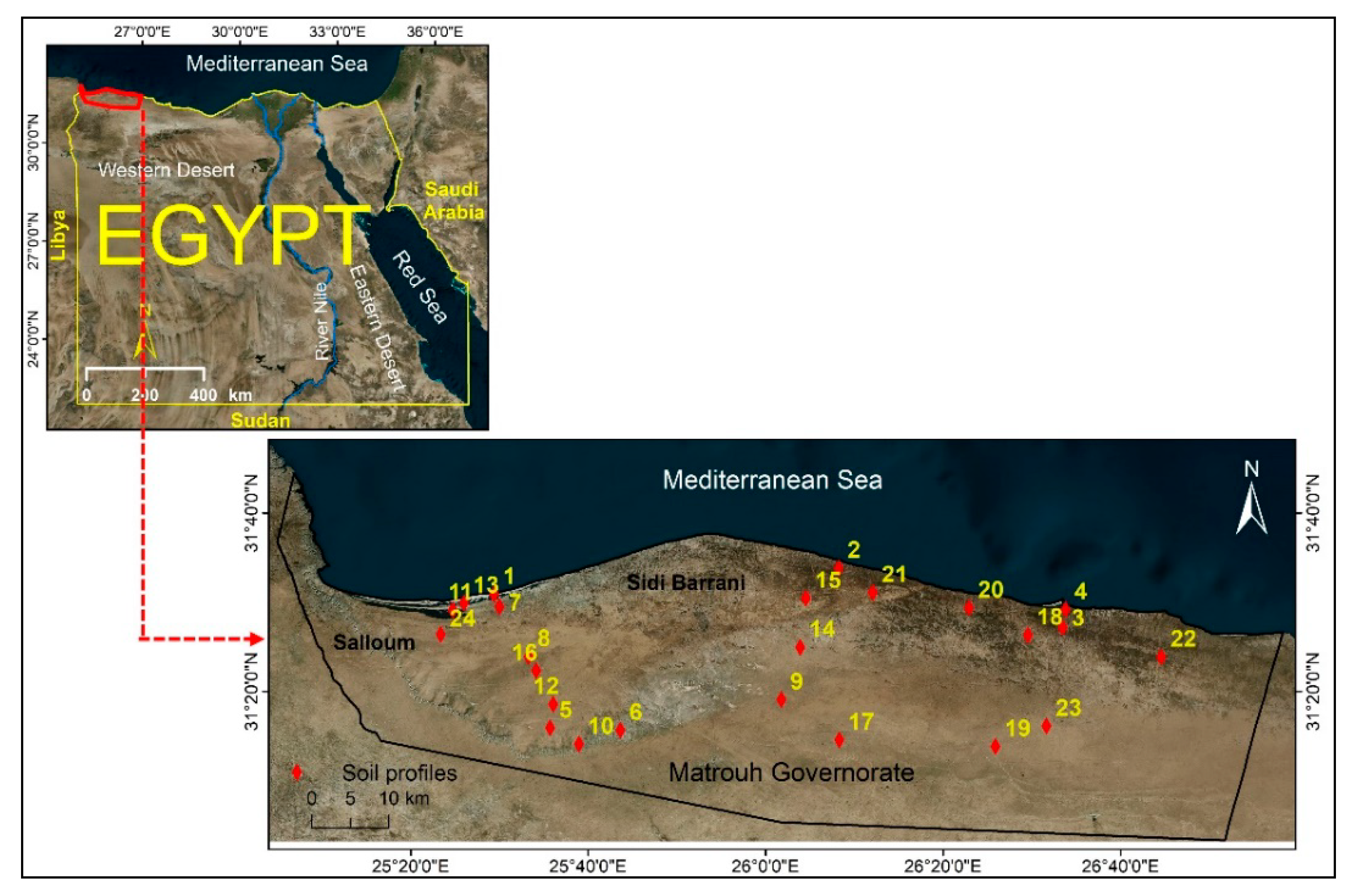 Agronomy 10 01318 g001