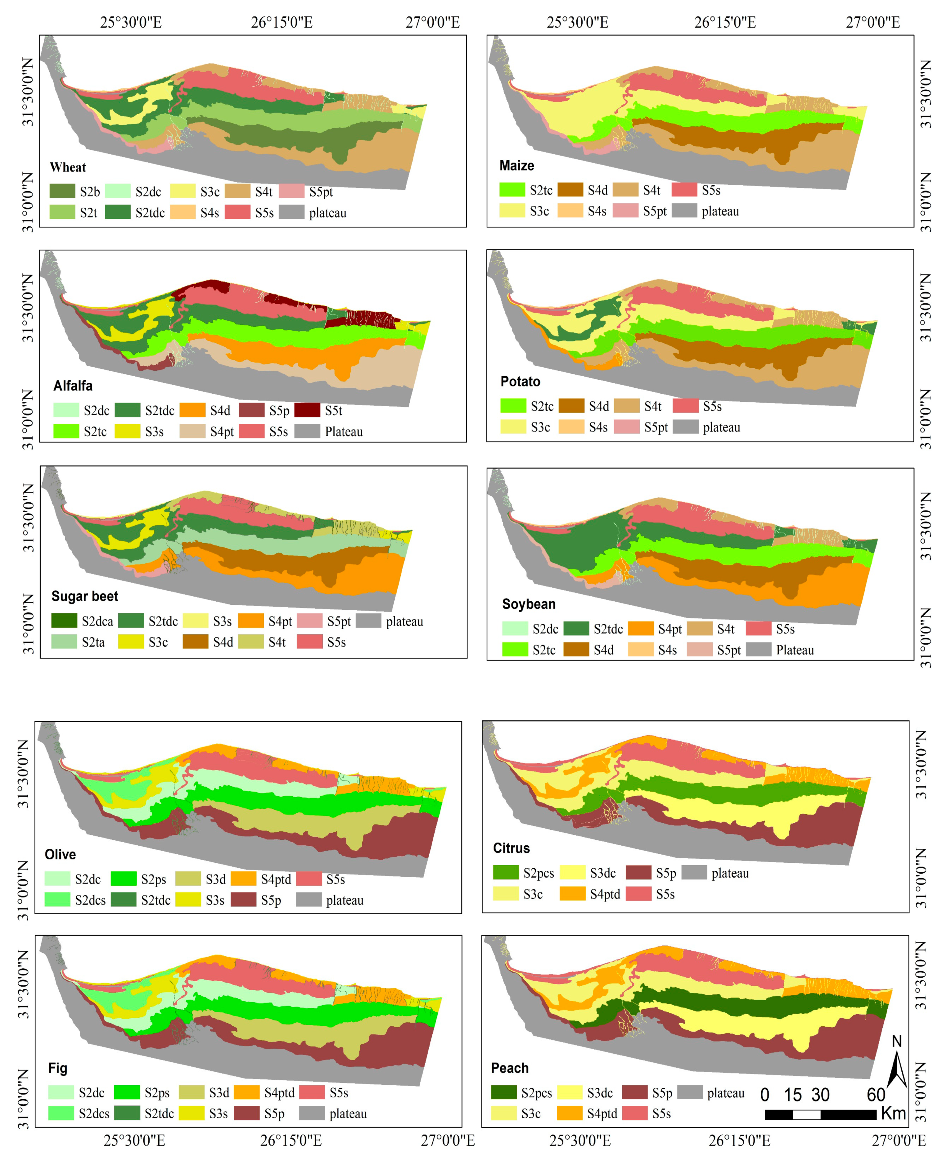 Agronomy 10 01318 g008